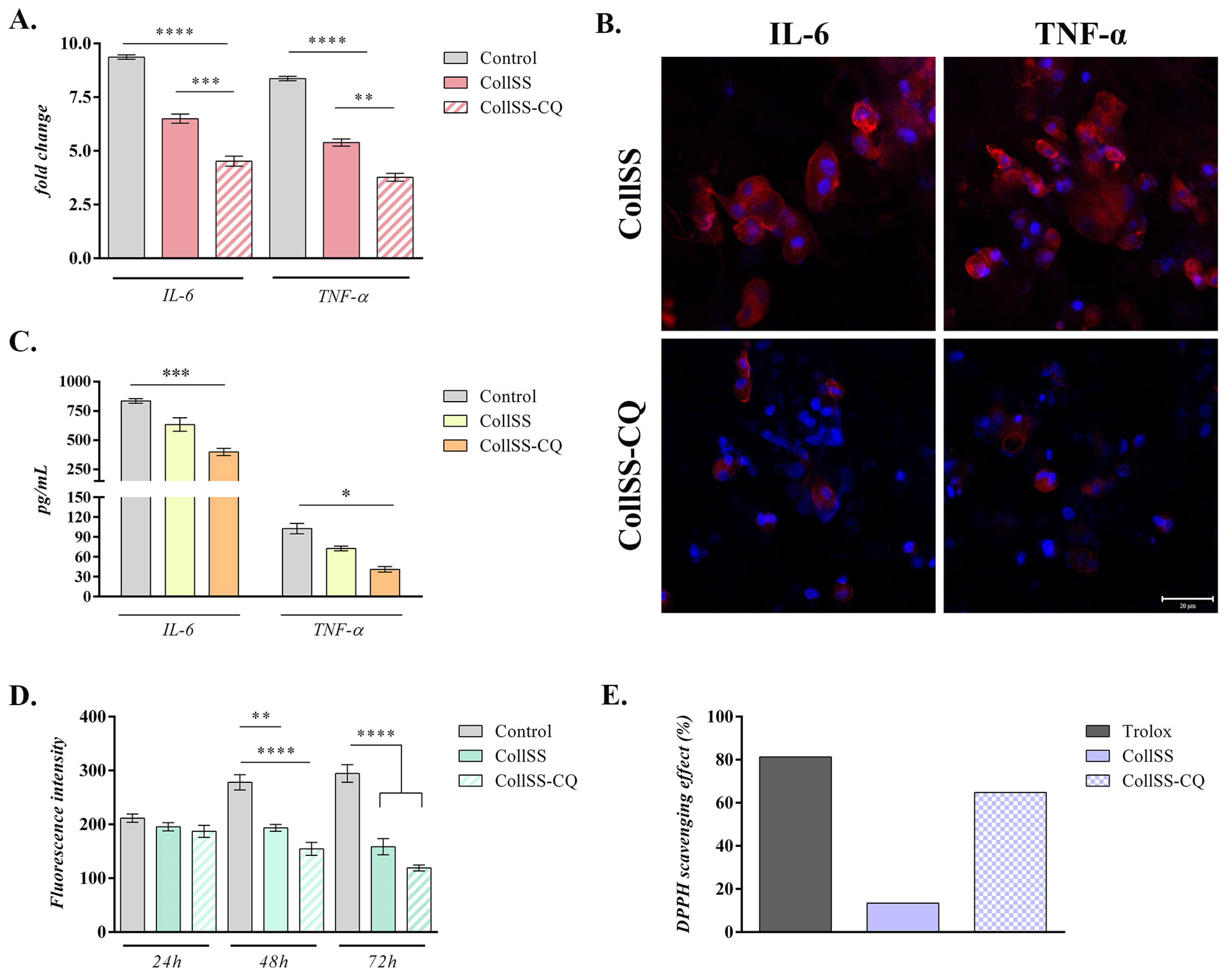 Polymers 16 01627 g003