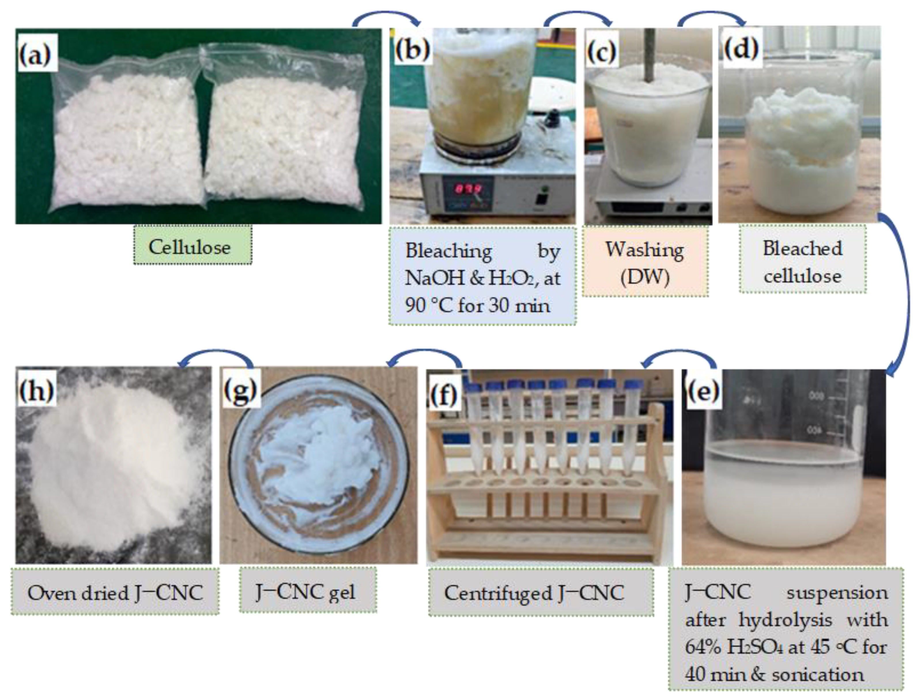 Polymers 16 01629 g001