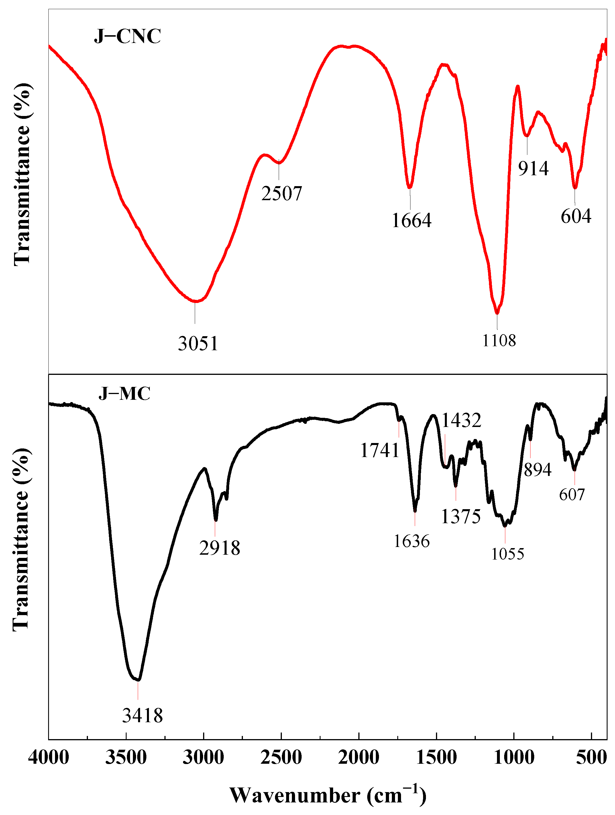 Polymers 16 01629 g005