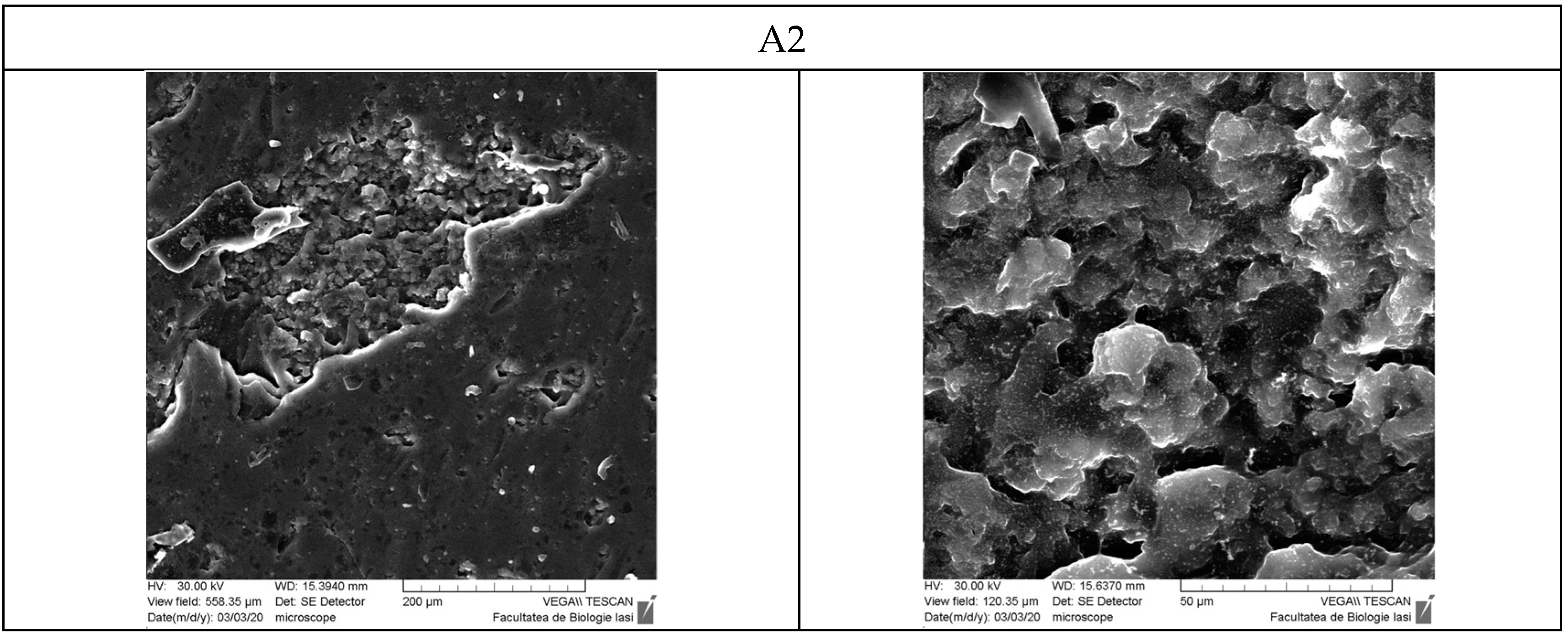Polymers 16 01631 g012a
