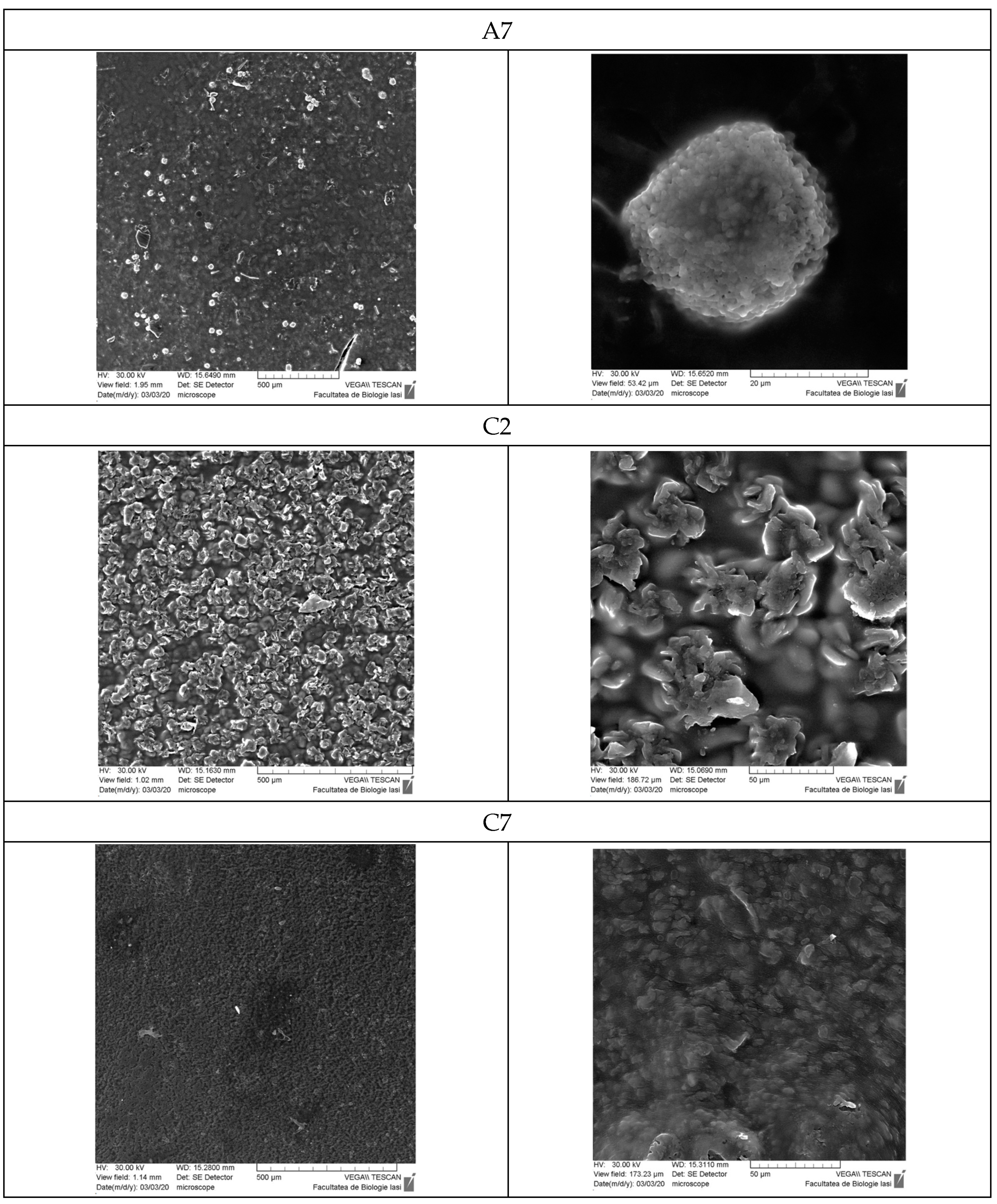 Polymers 16 01631 g012b