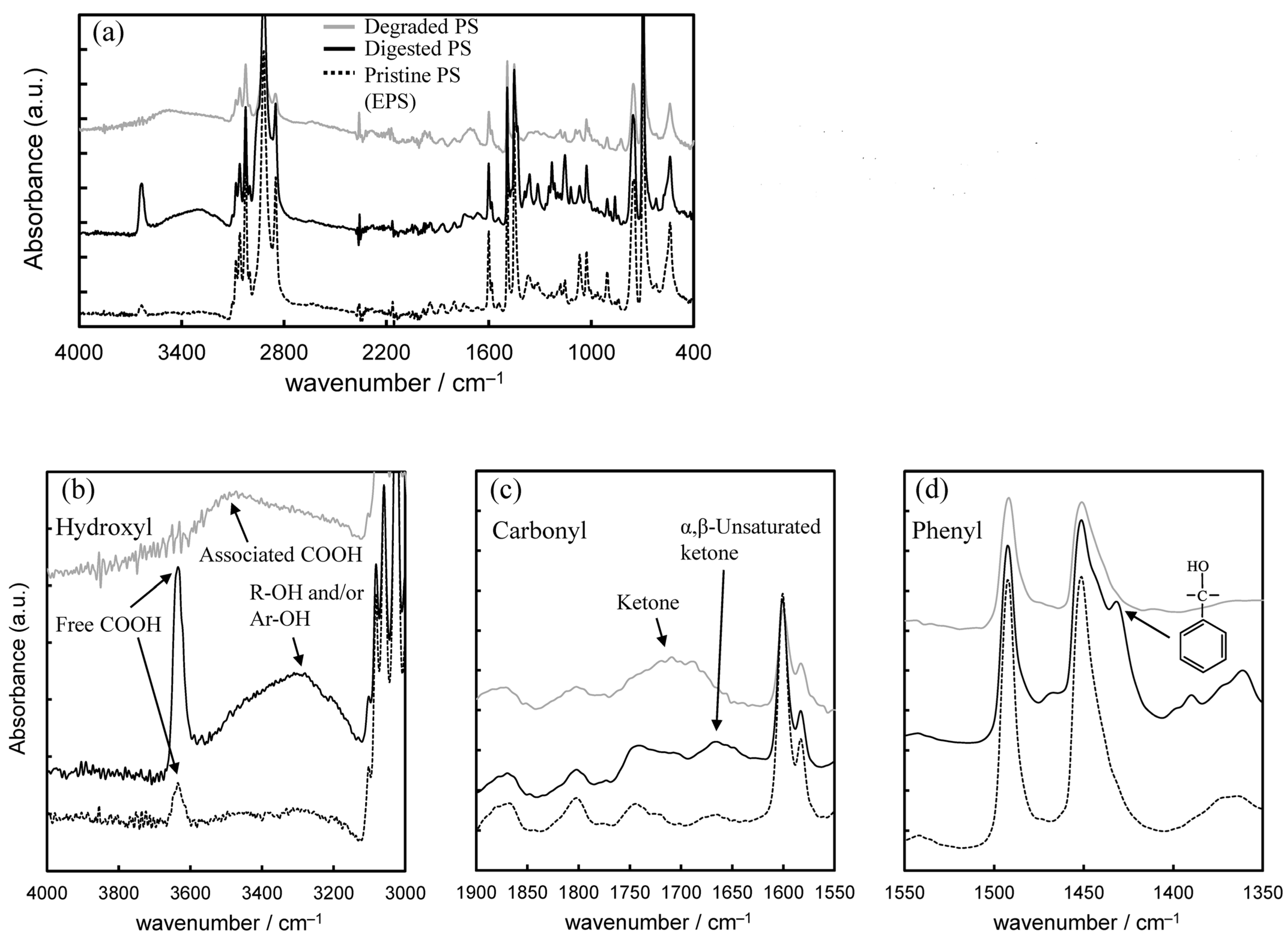 Polymers 16 01632 g002