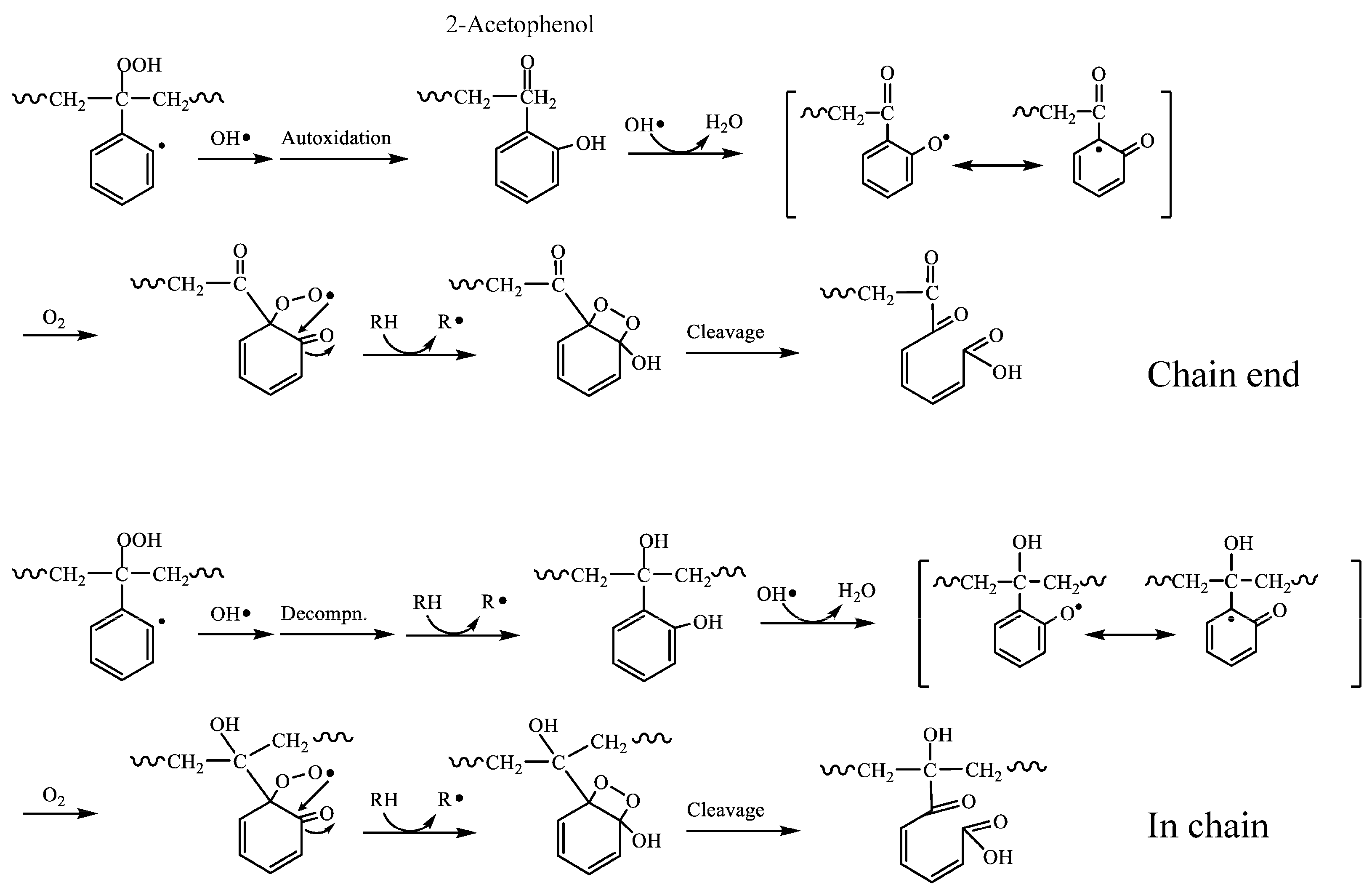Polymers 16 01632 g006
