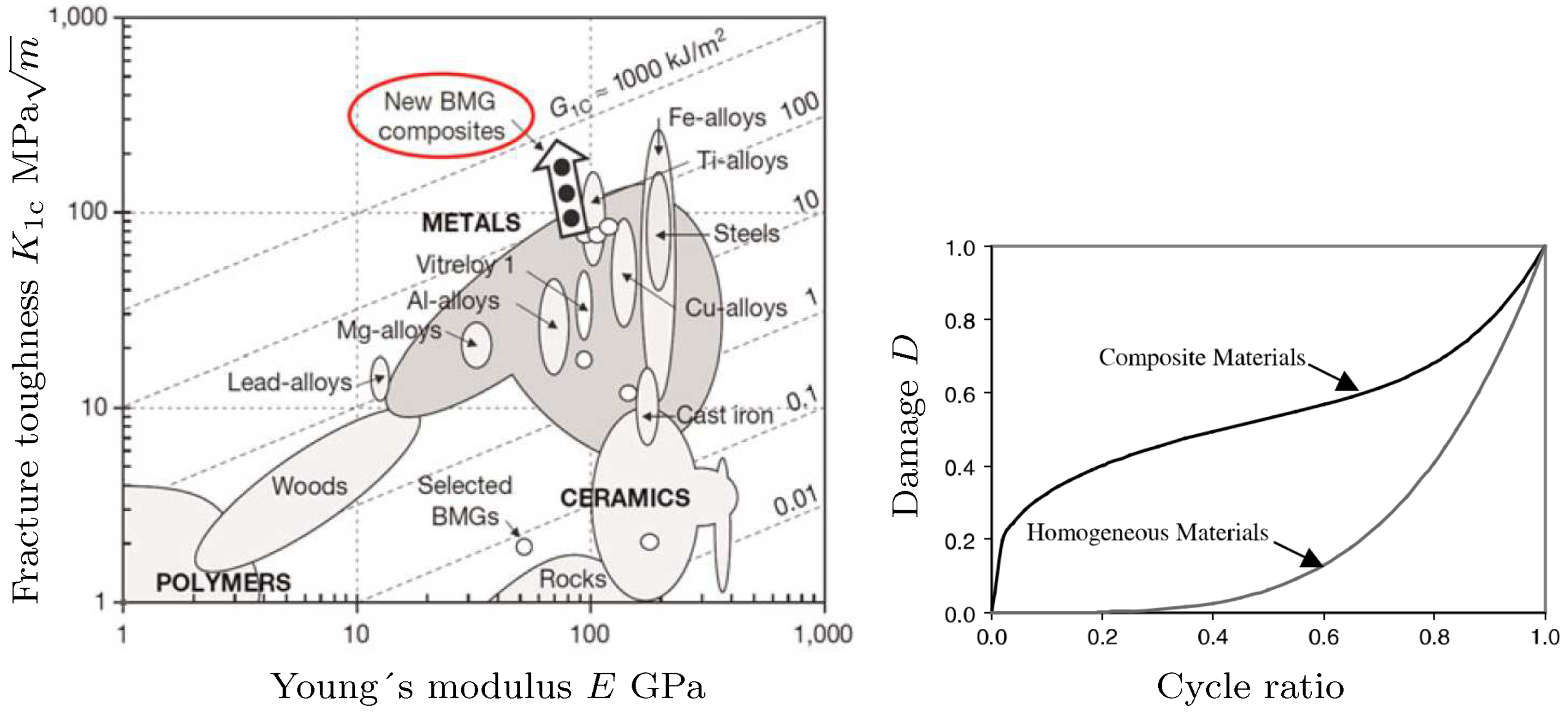 Prediction of Short- to Long-Term Cyclic Deformation Behavior and ...