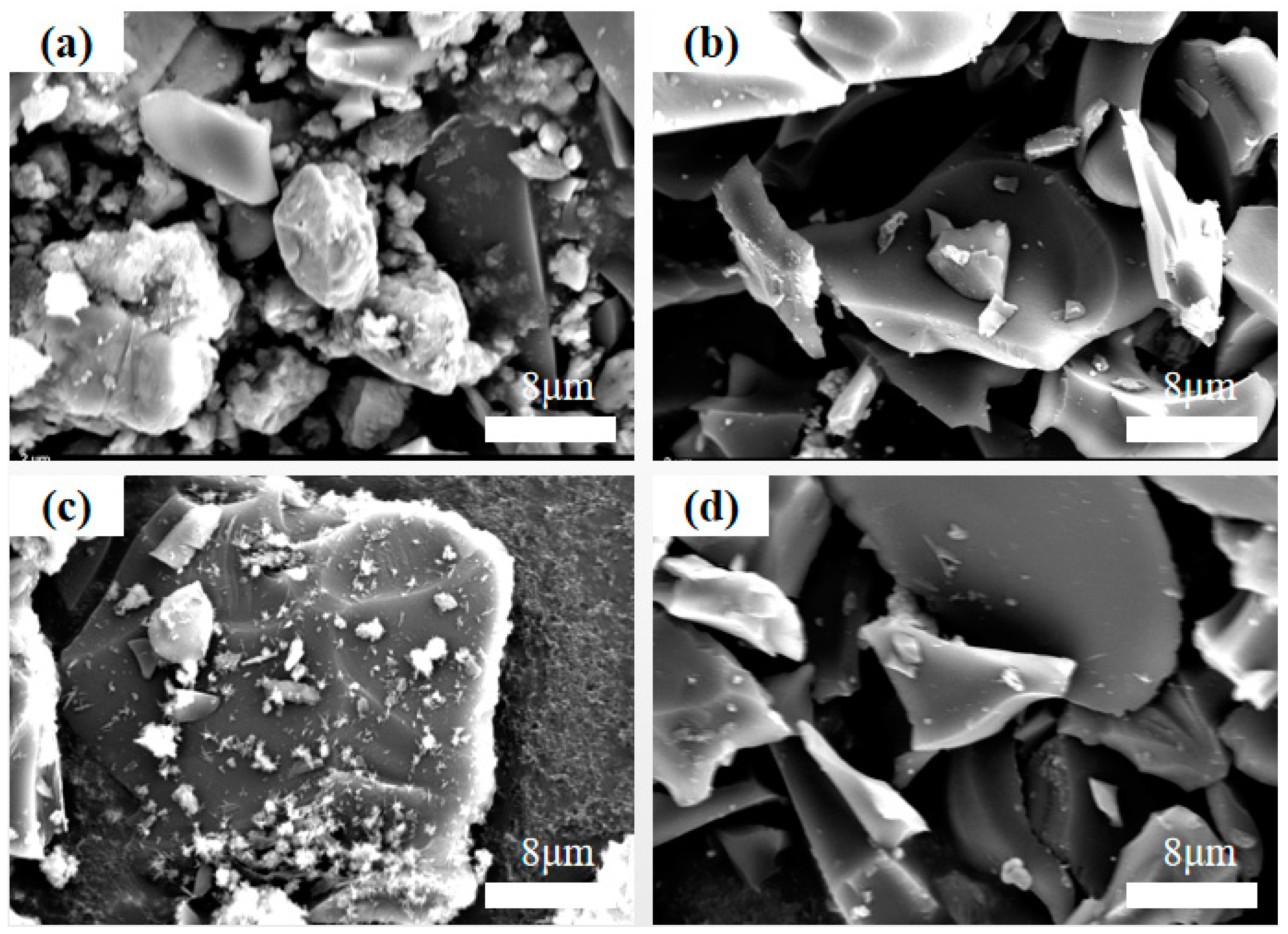 Polymers 16 01648 g004