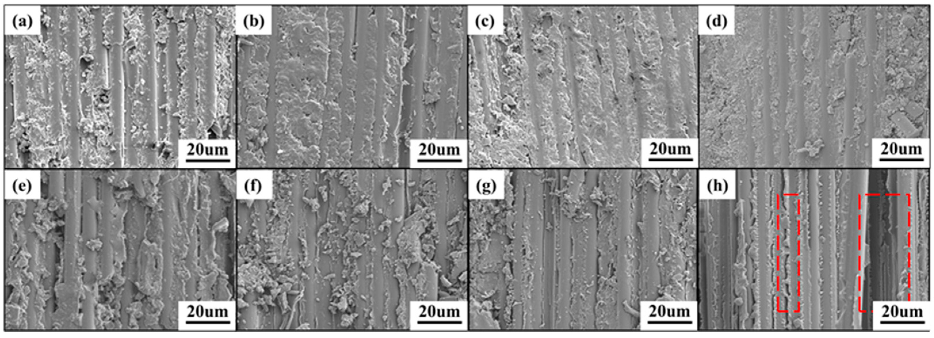 Polymers 16 01649 g003