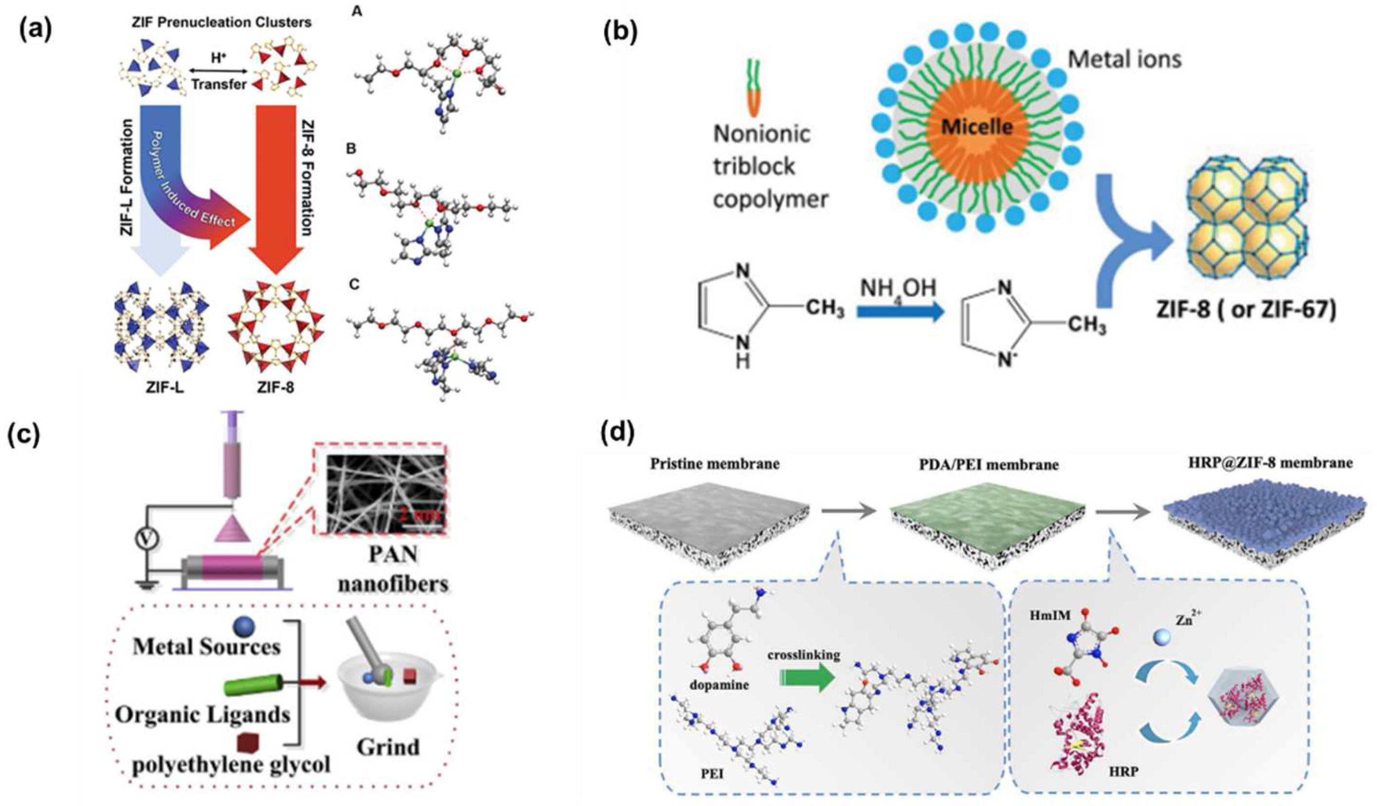 Polymers 16 01653 g003
