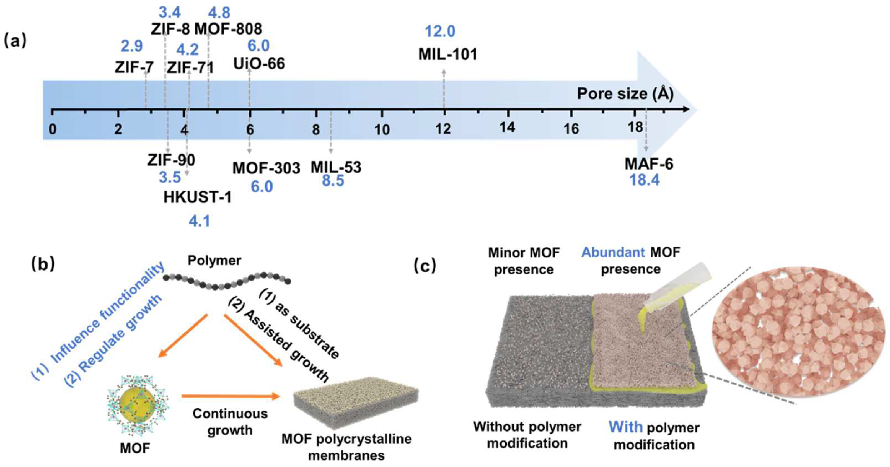Polymers 16 01653 g004