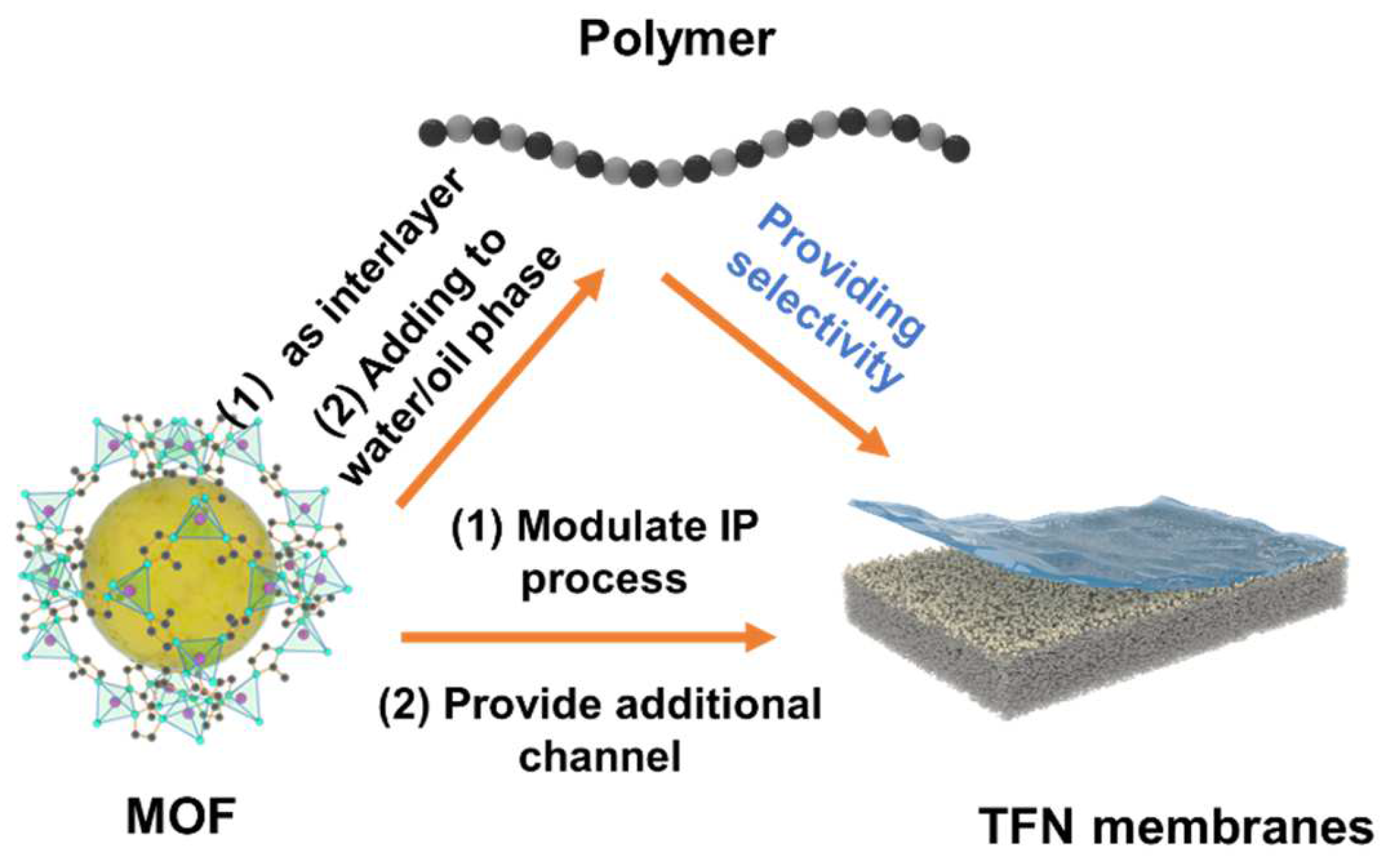Polymers 16 01653 g008