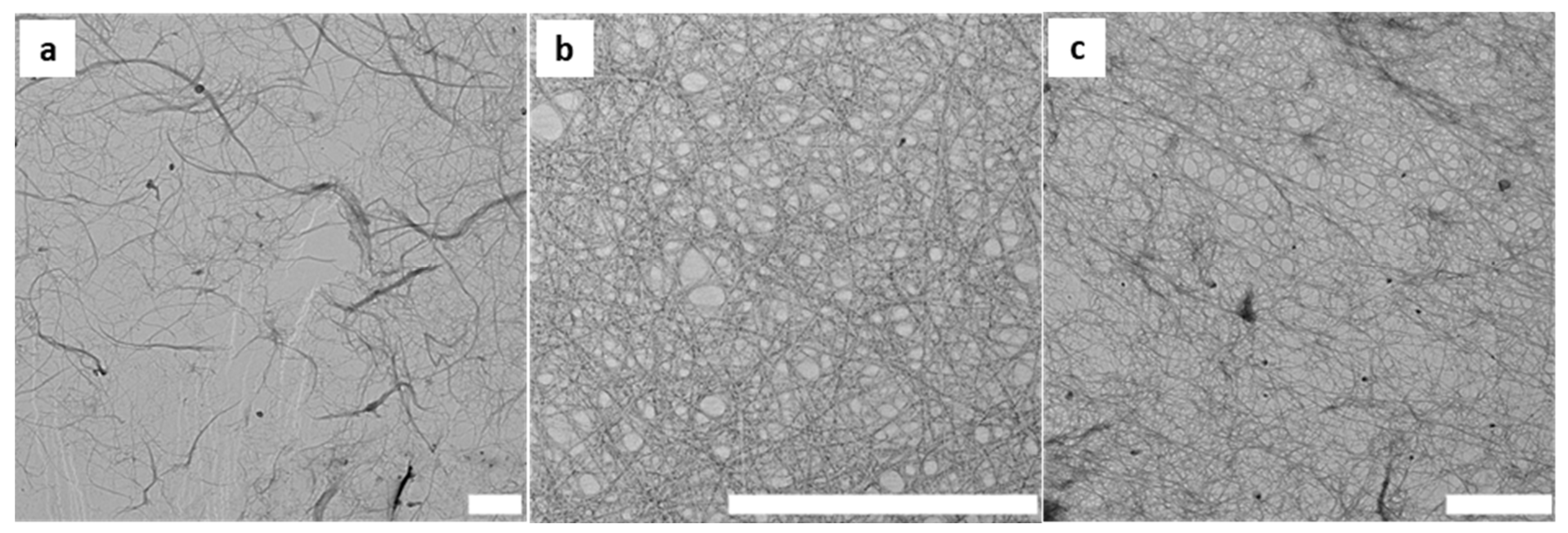 Polymers 16 01654 g005