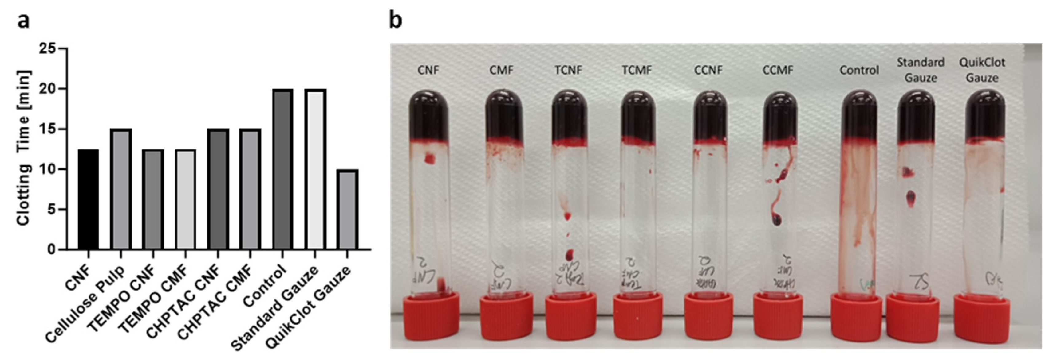 Polymers 16 01654 g008