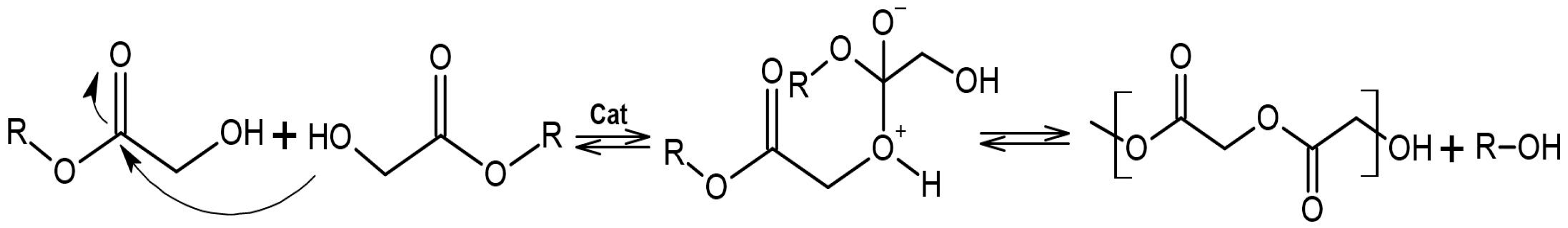 Polymers 16 01655 g002