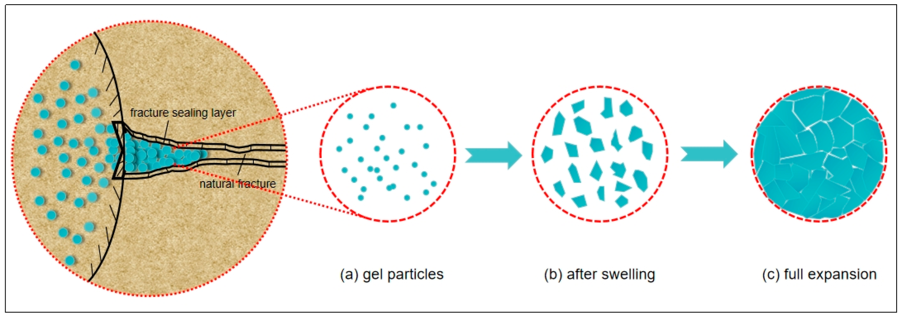 Polymers 16 01658 g003