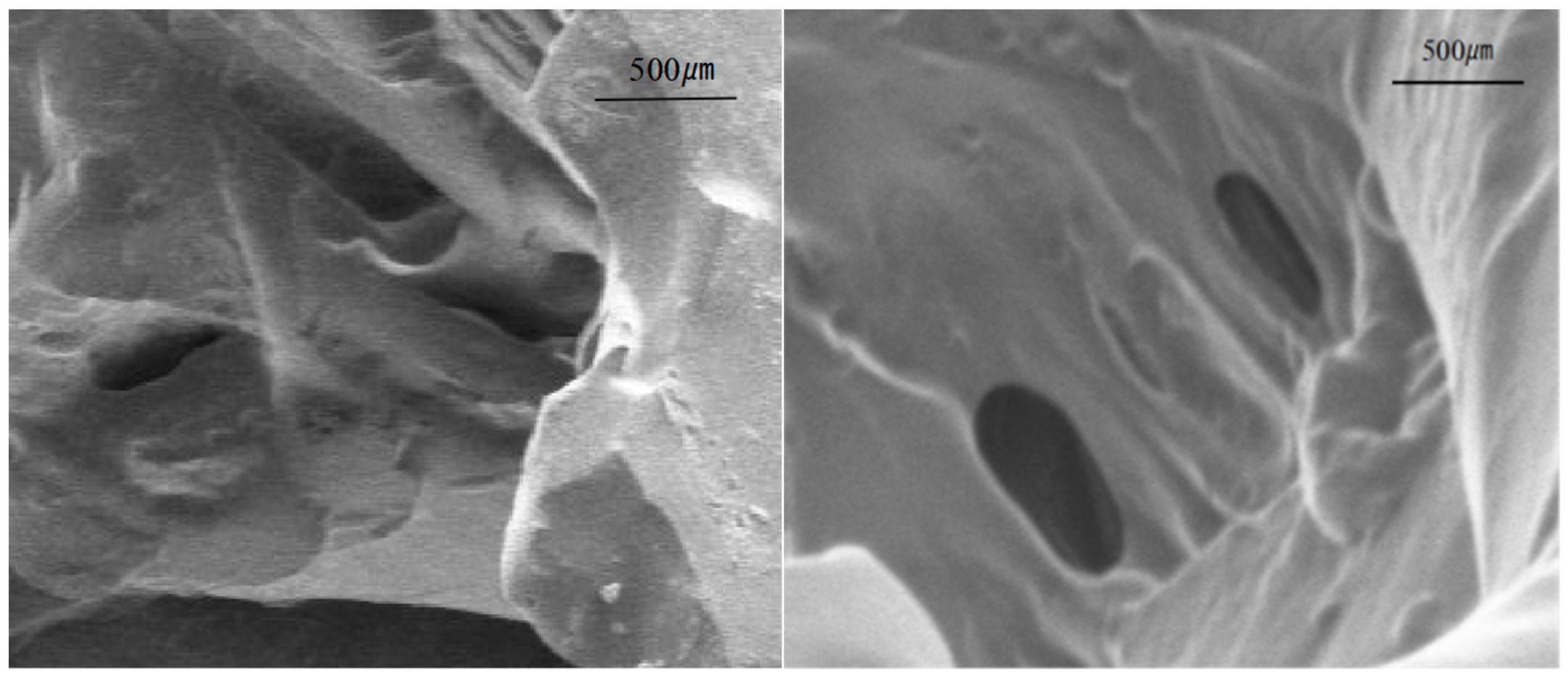Polymers 16 01658 g006