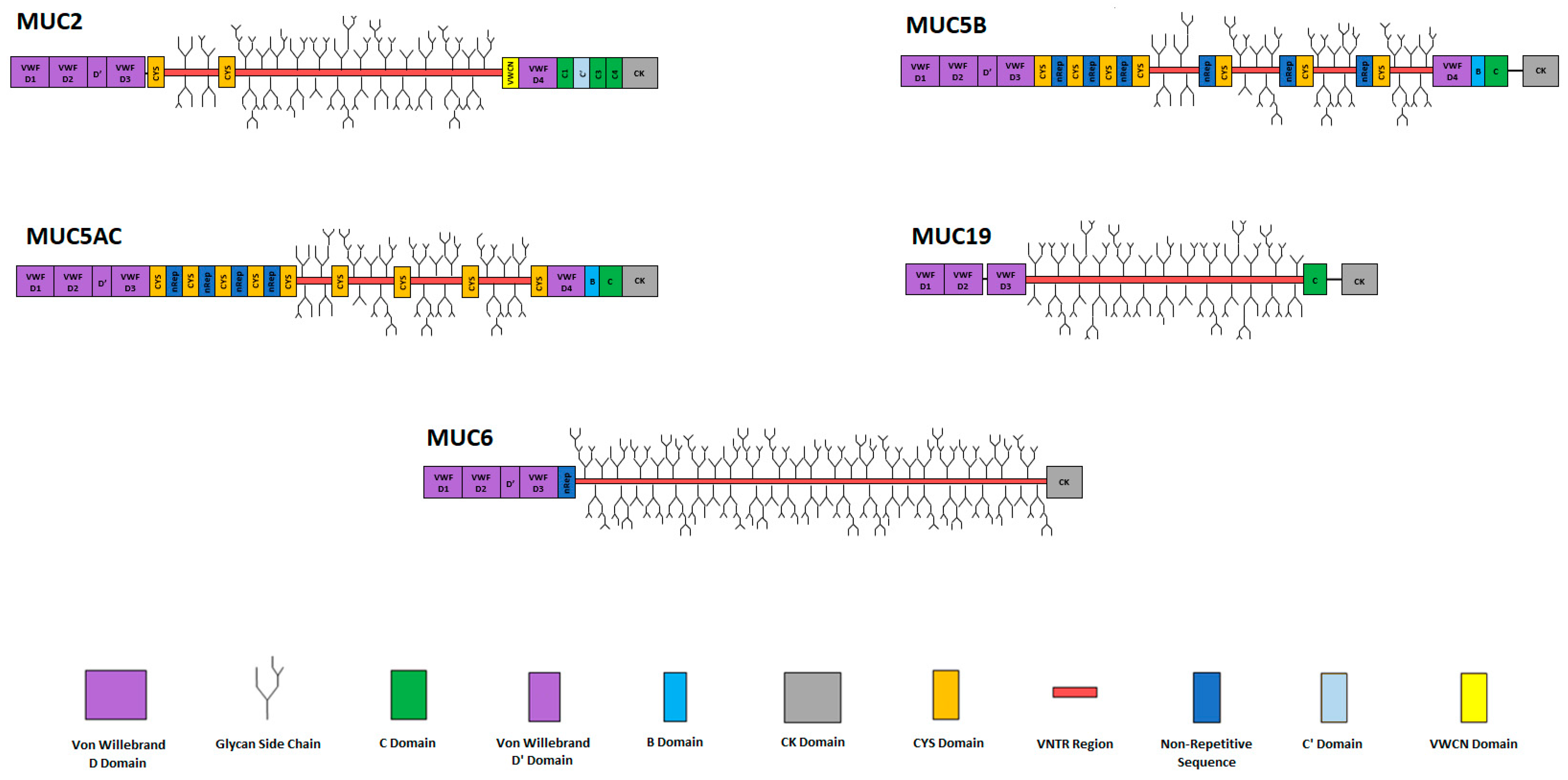 Polymers 16 01663 g001 Polymers 16 01663 g001