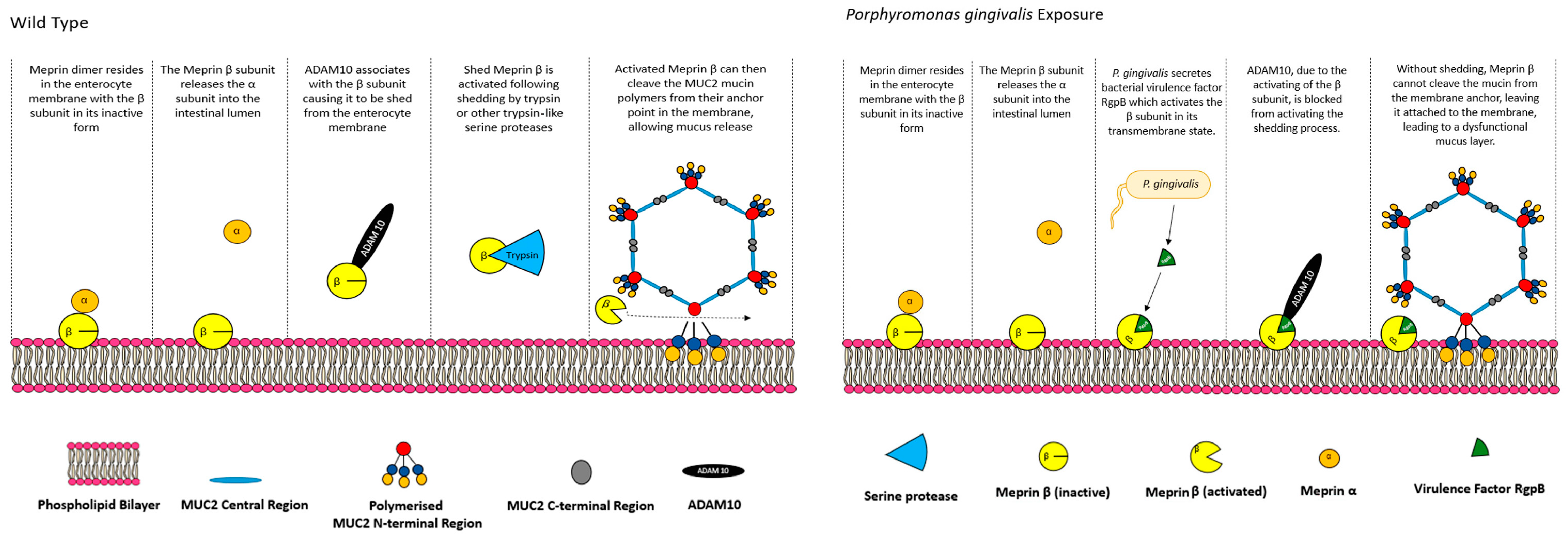 Polymers 16 01663 g003 Polymers 16 01663 g003
