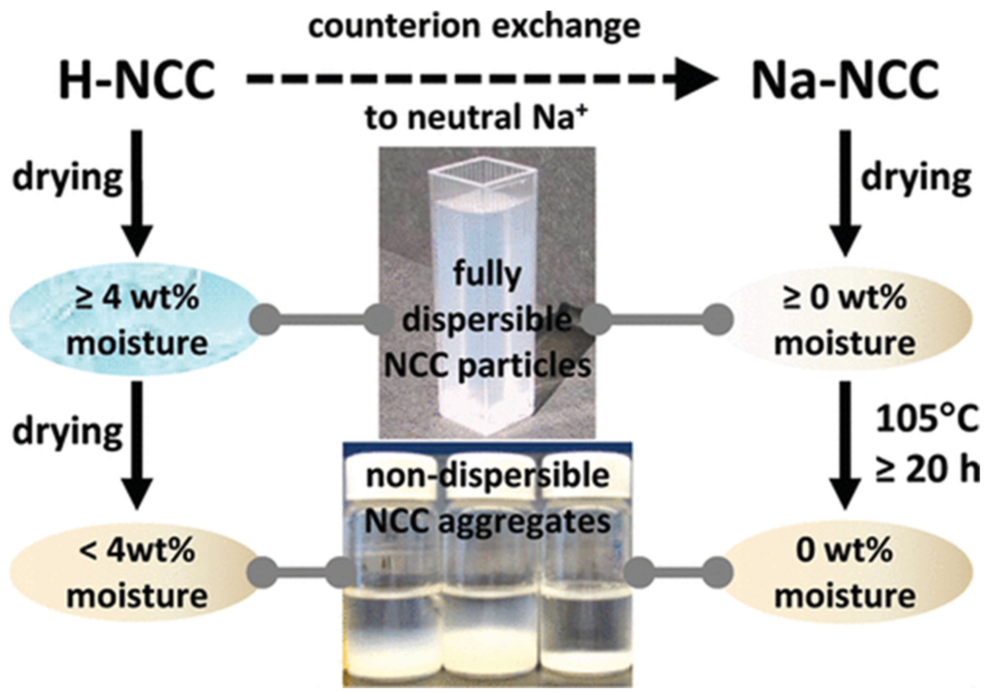 Polymers 16 01664 g003
