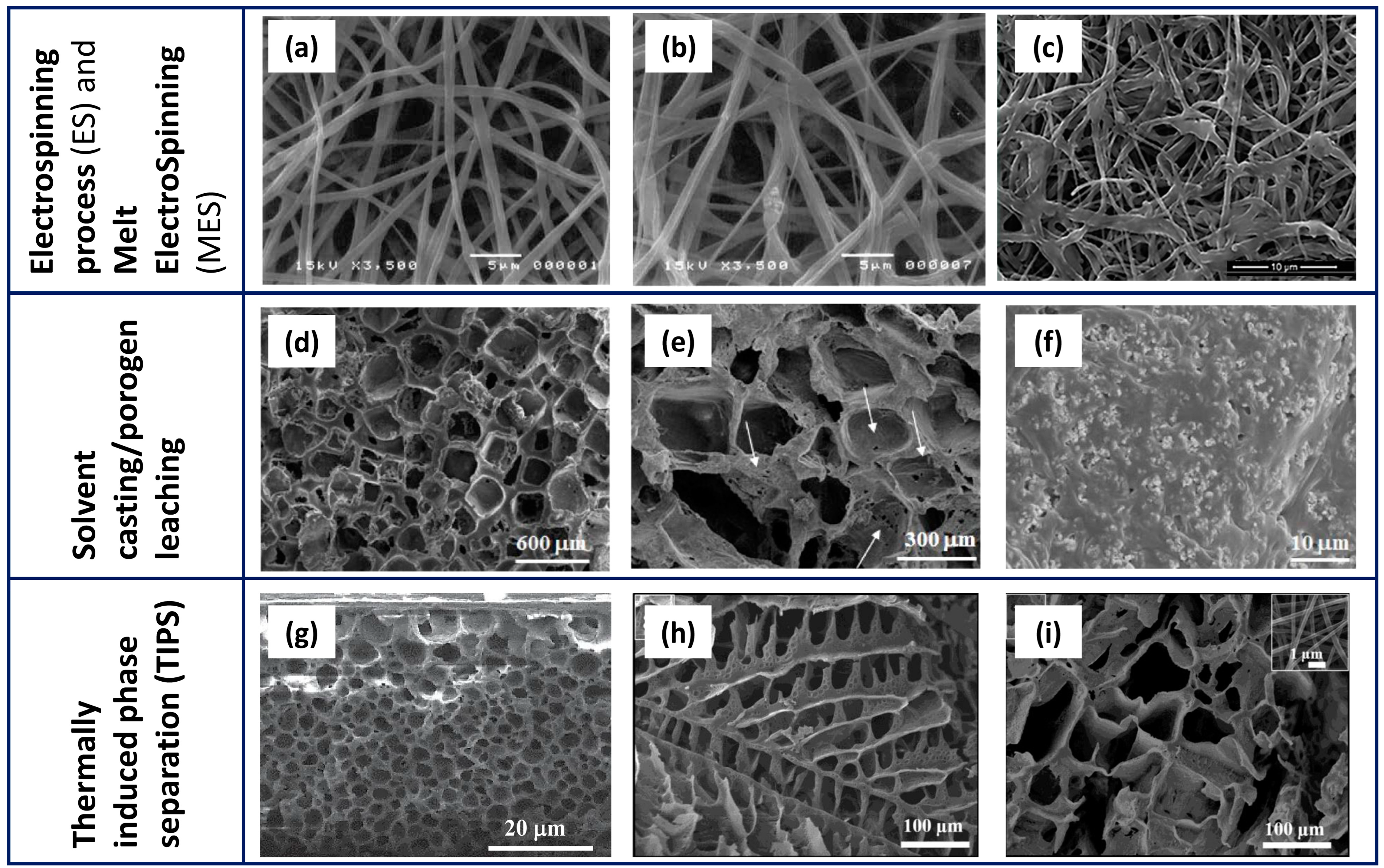 Polymers 16 01668 g003
