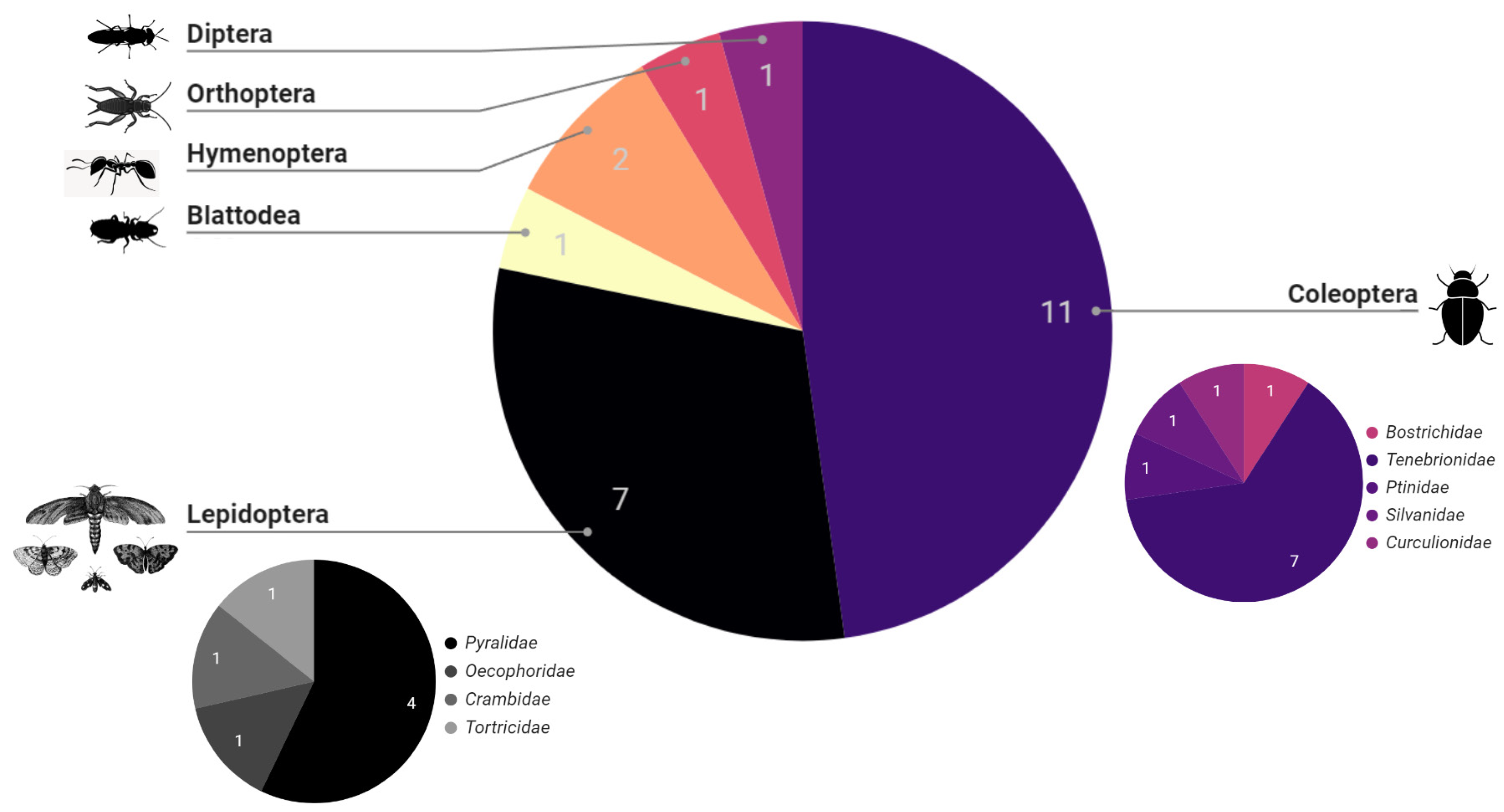 Polymers 16 01671 g002