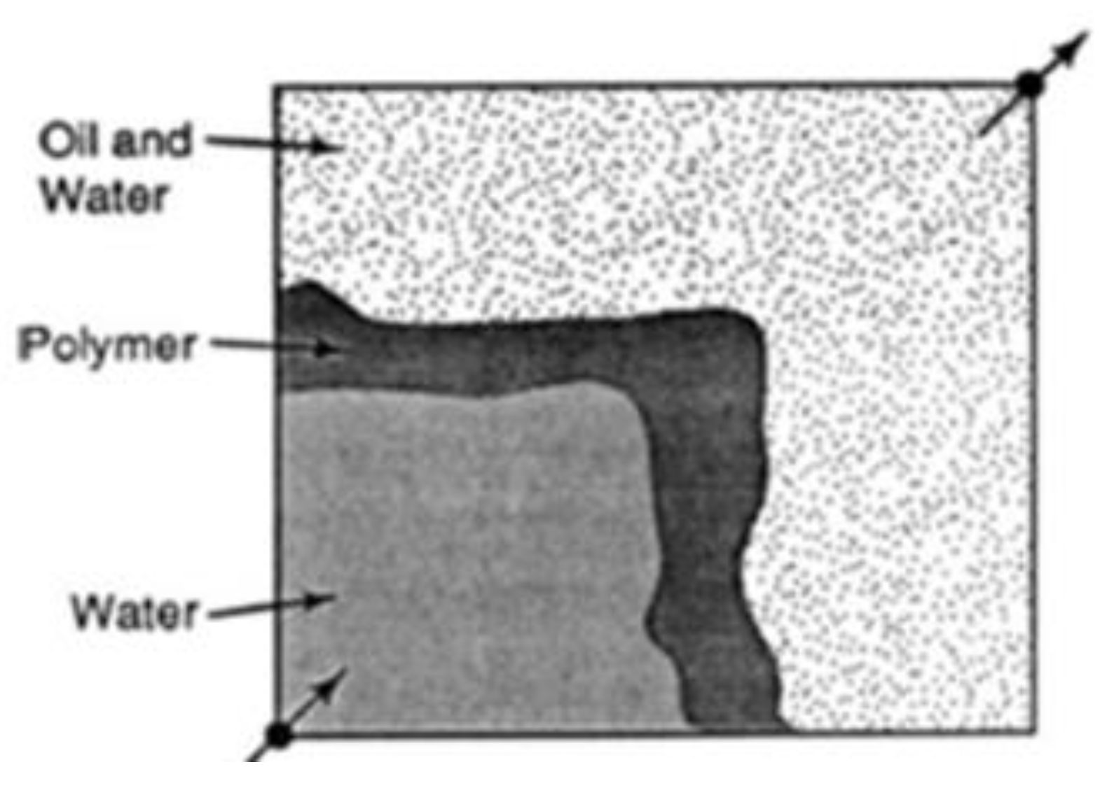 Polymers 16 01674 g002