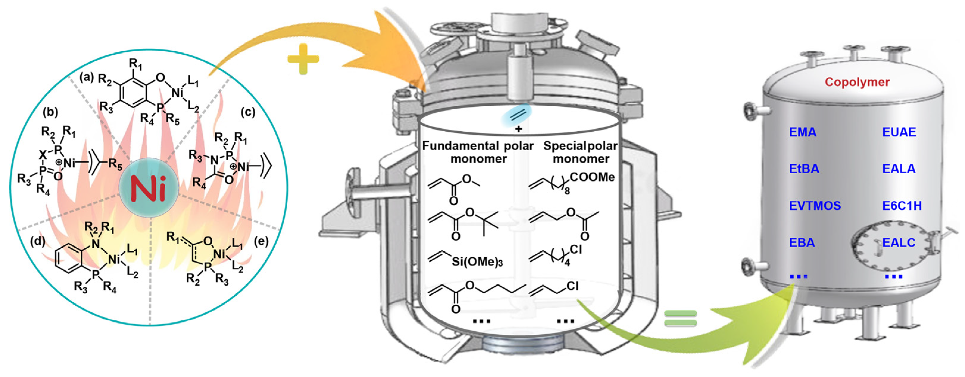 Polymers 16 01676 g001