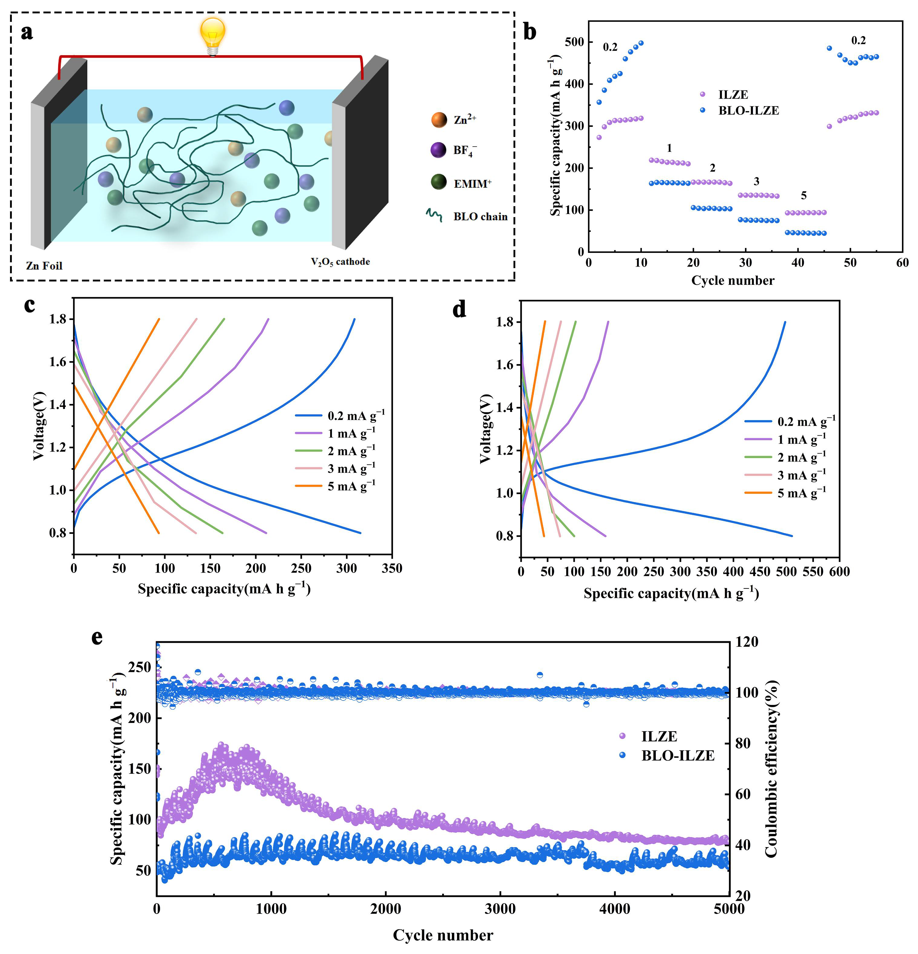 Polymers 16 01680 g006