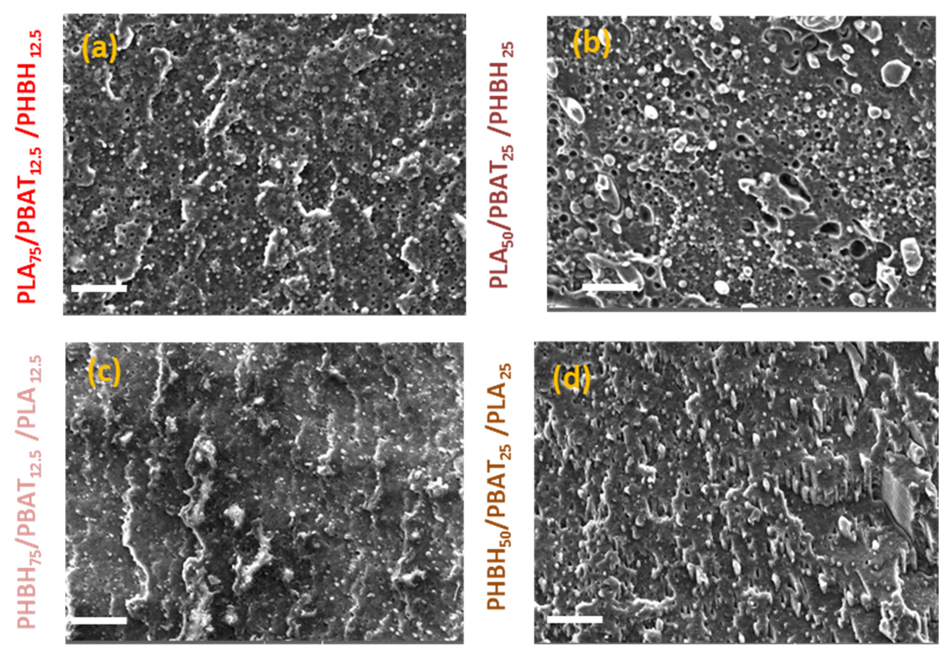 Polymers 16 01699 g008