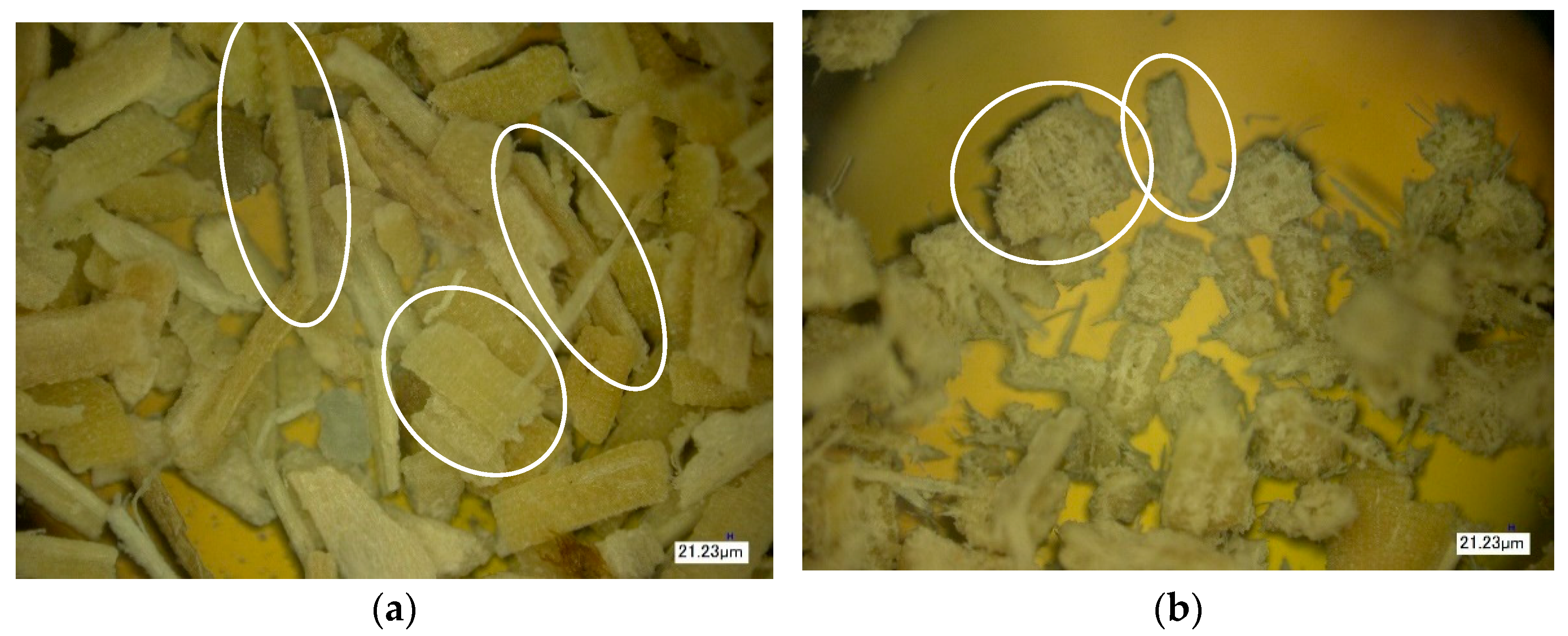 Polymers 16 01703 g015