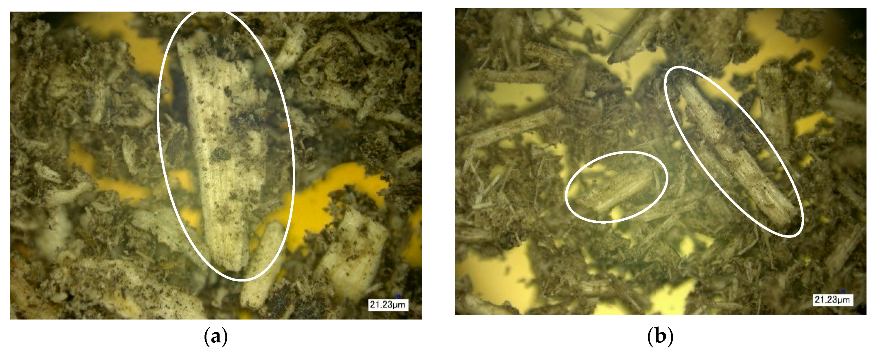 Polymers 16 01703 g016