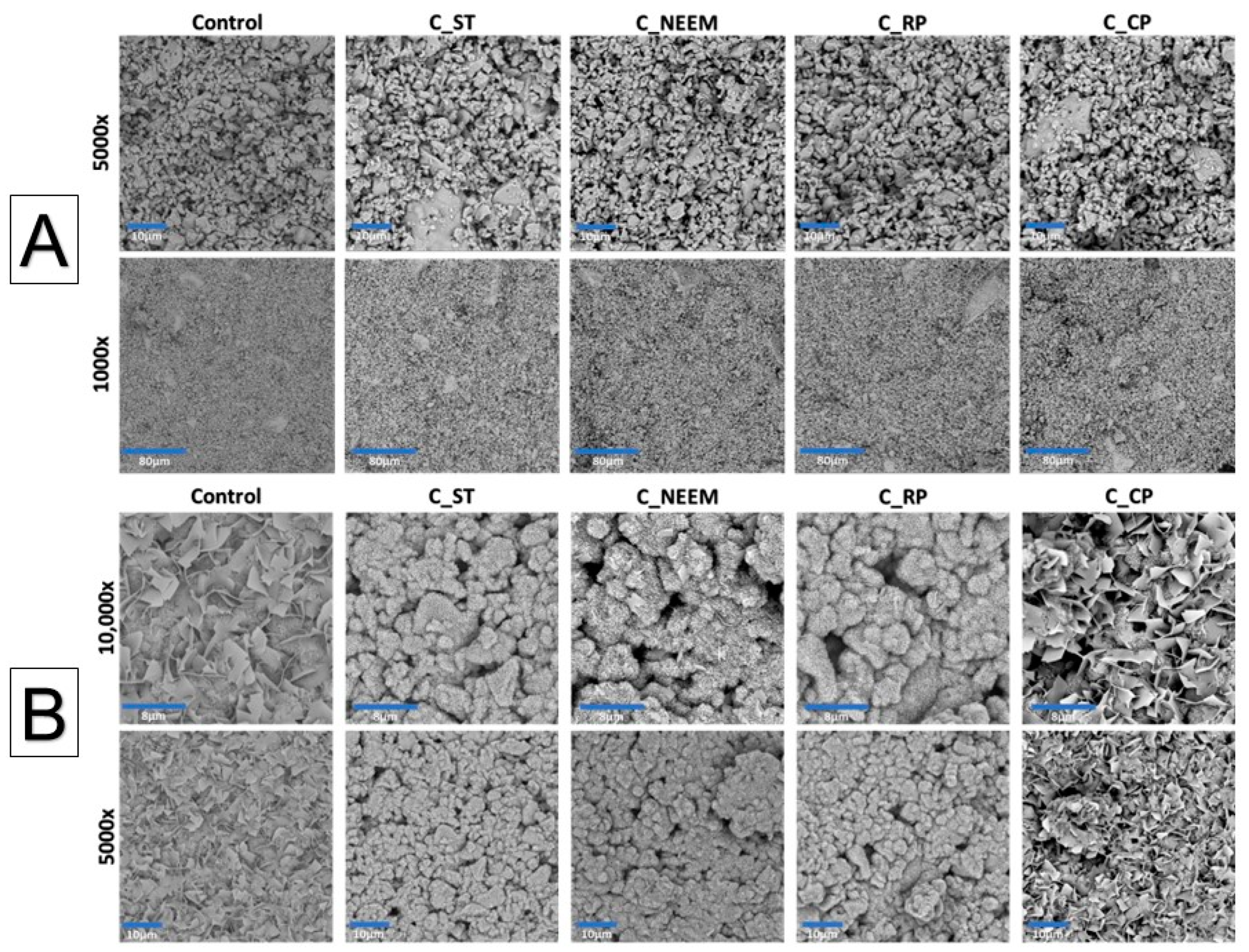 Polymers 16 01711 g004