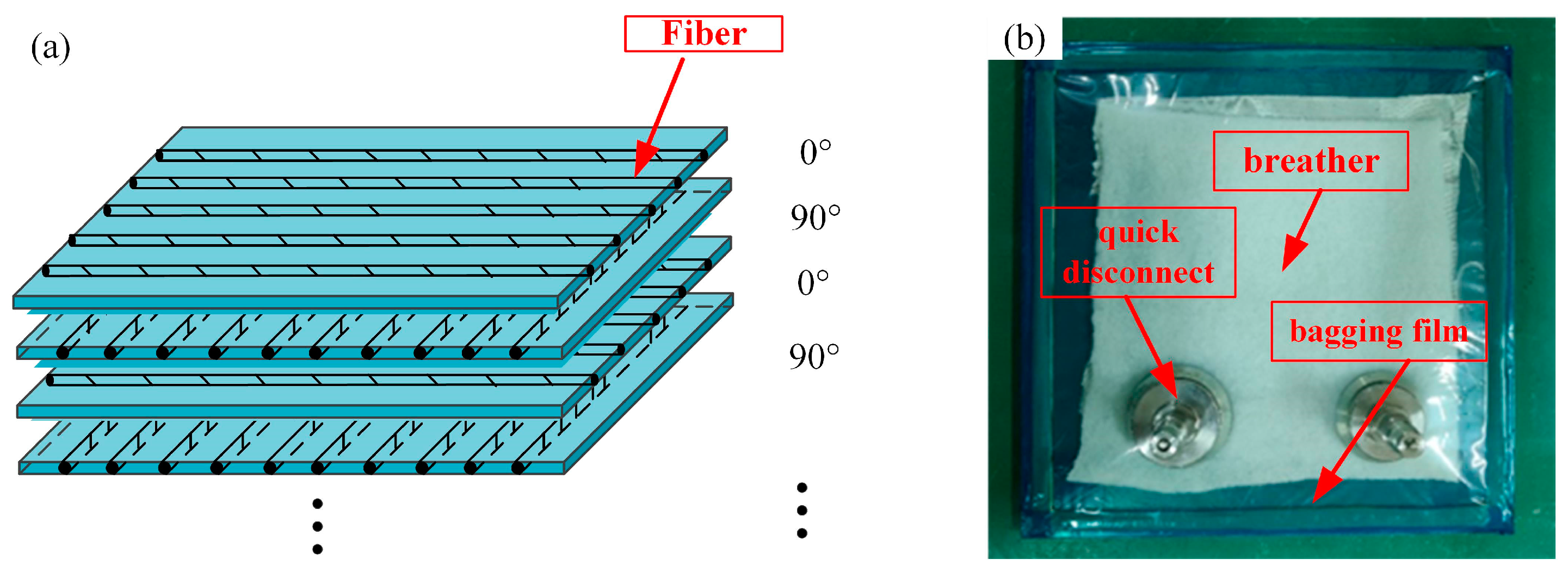 Polymers 16 01715 g001