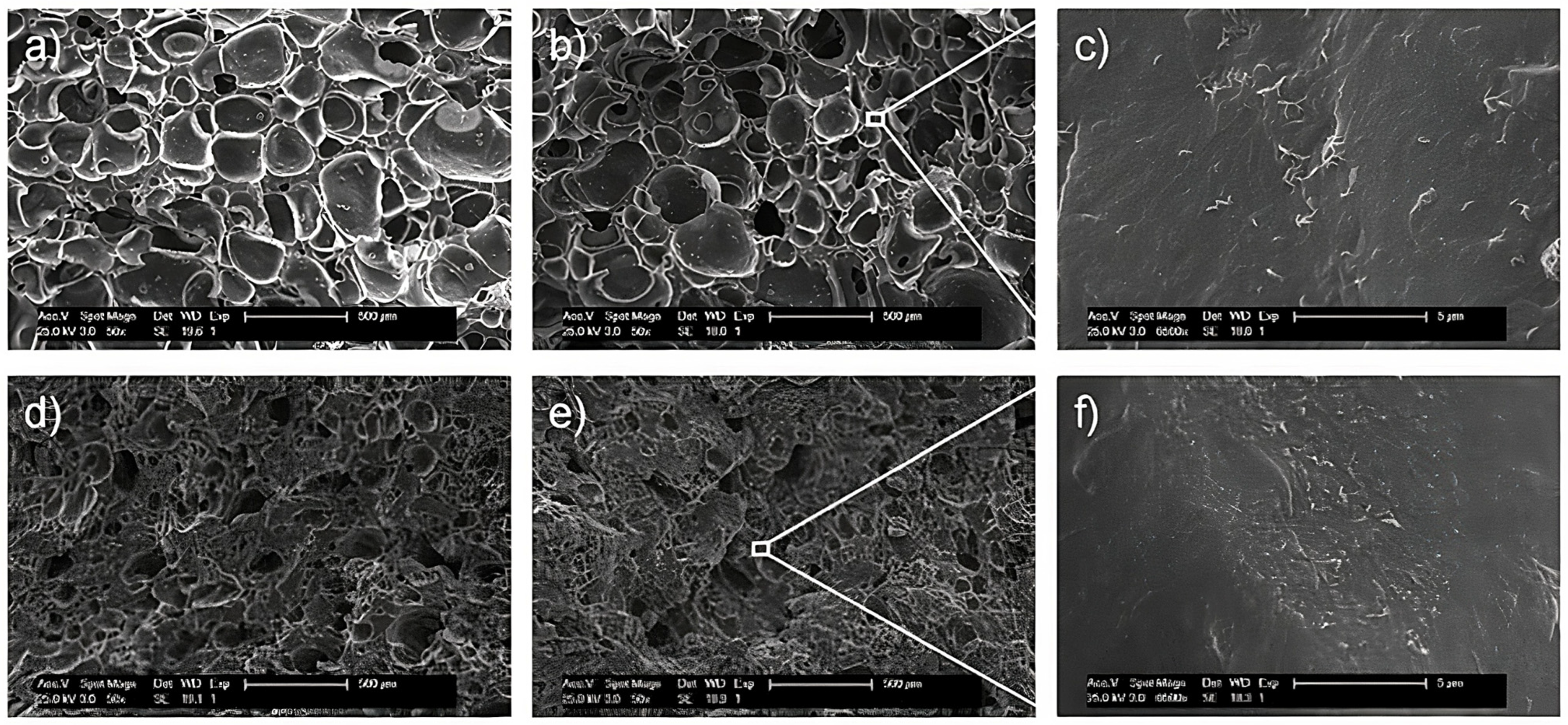 Polymers 16 01720 g006 Polymers 16 01720 g006