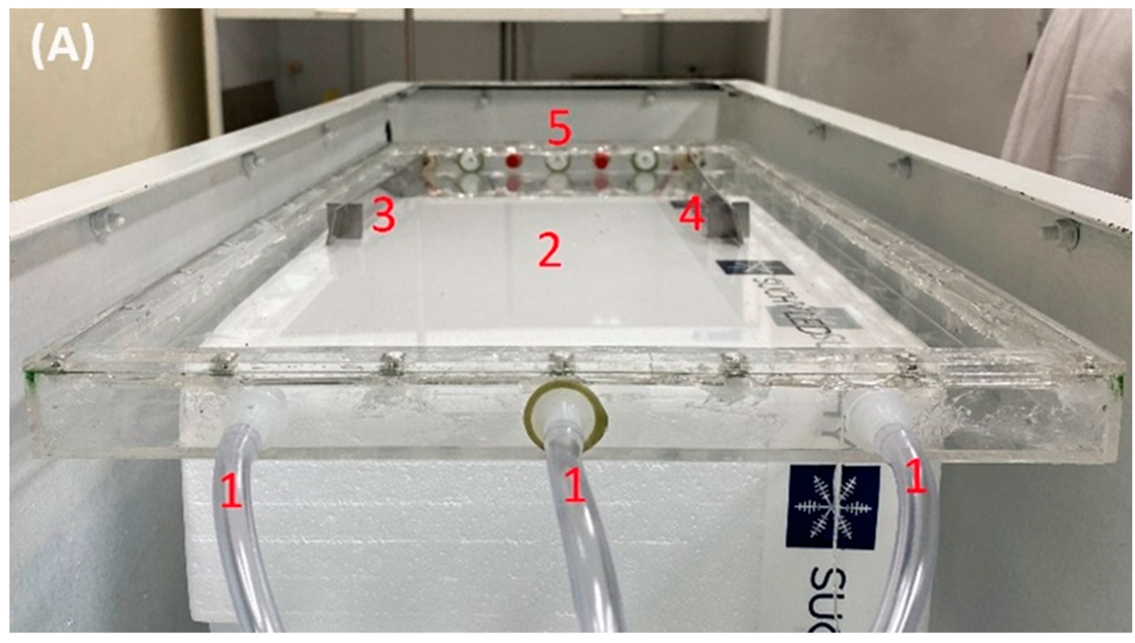 Polymers 16 01721 g003a