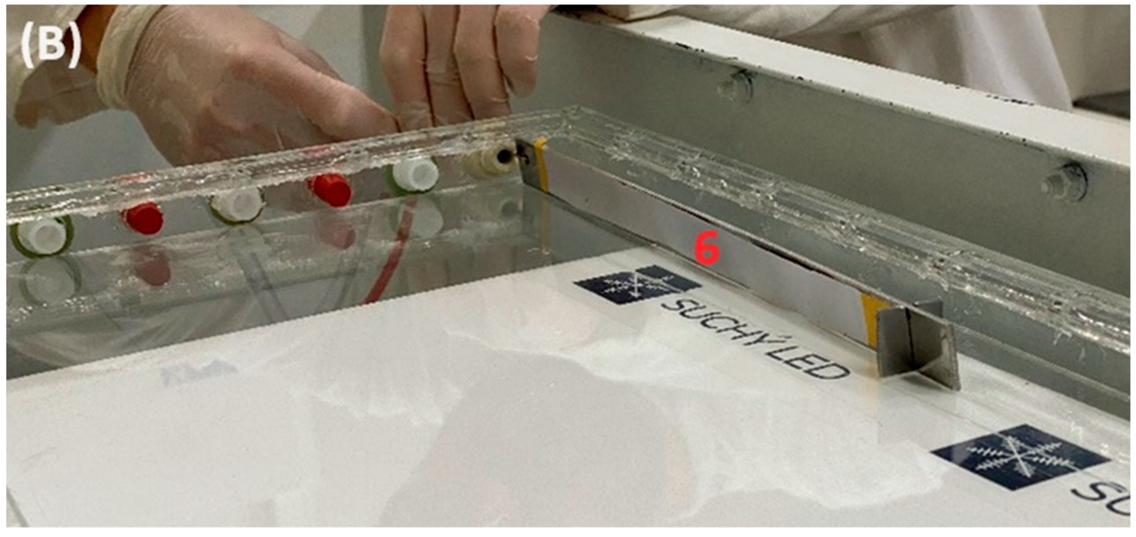 Polymers 16 01721 g003b