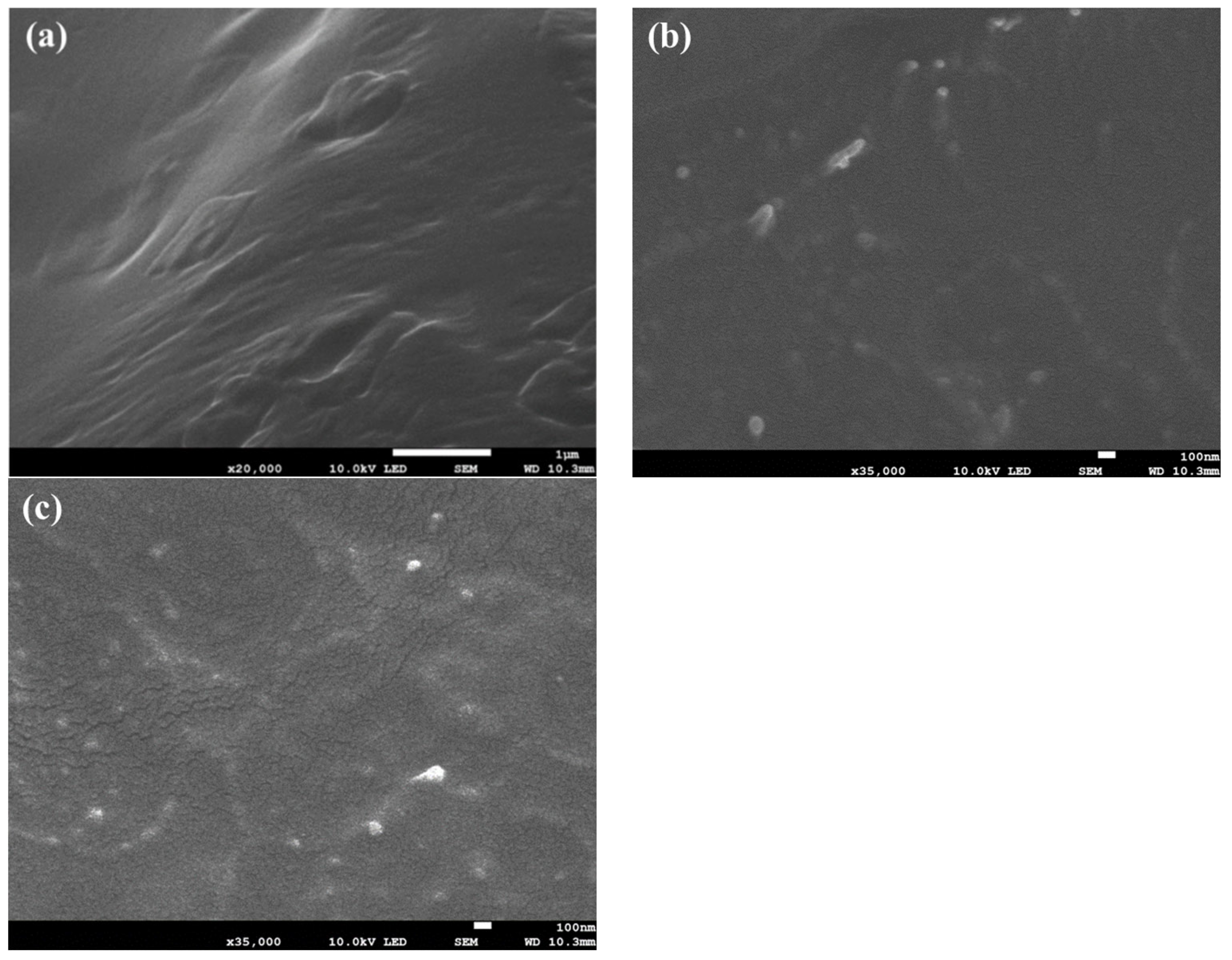 Polymers 16 01735 g002