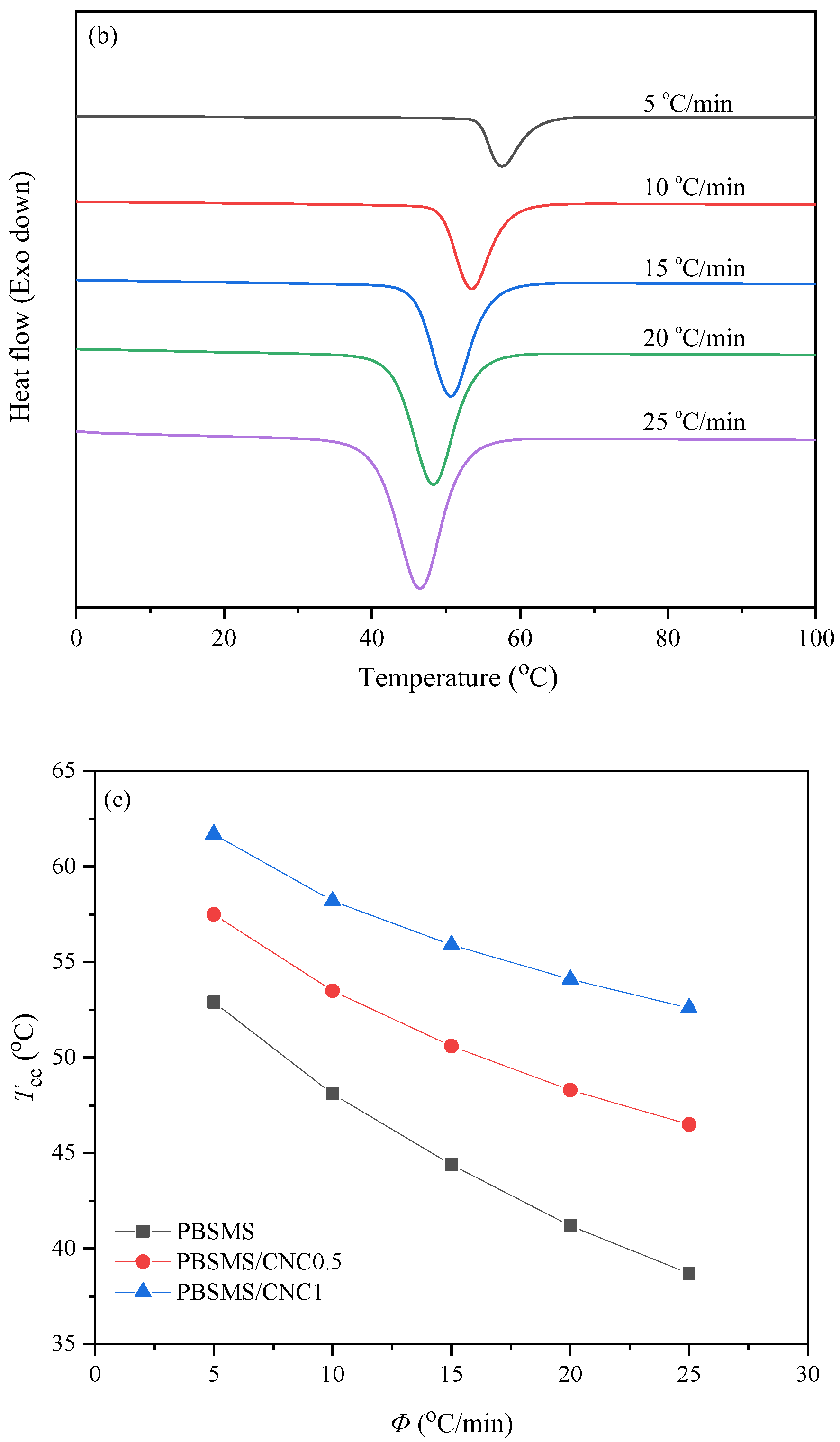 Polymers 16 01735 g003b