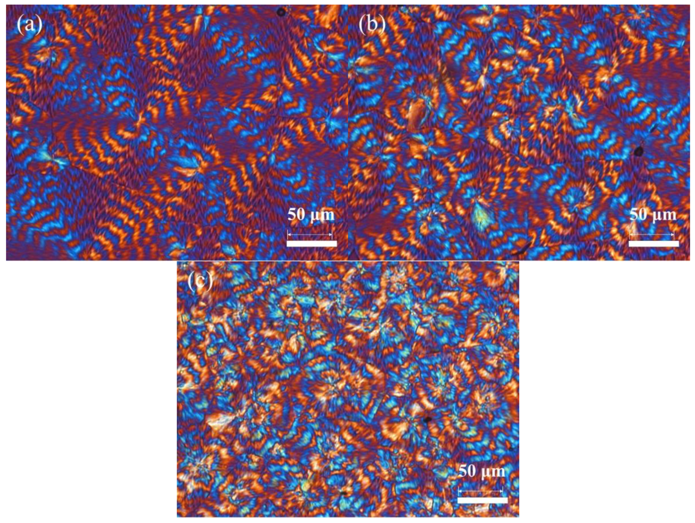 Polymers 16 01735 g011