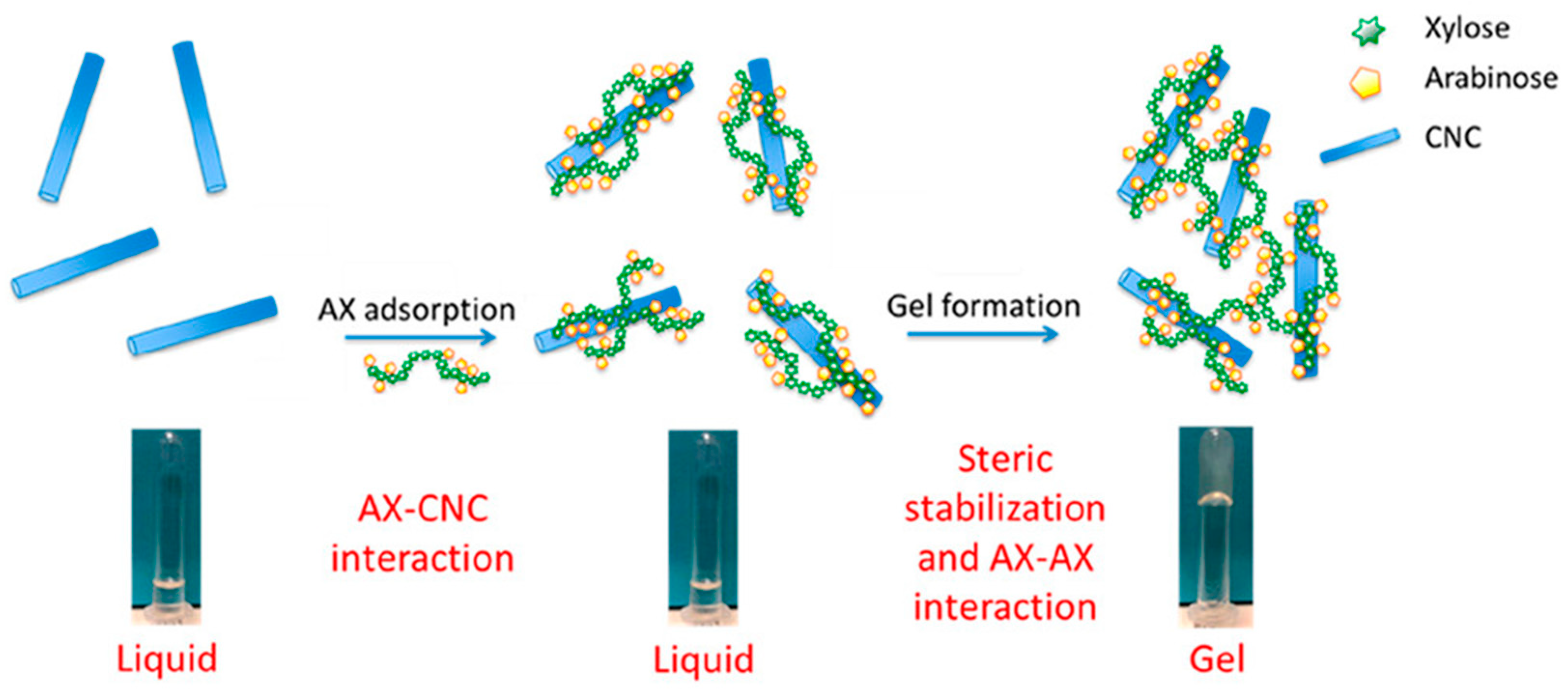 Polymers 16 01750 g006