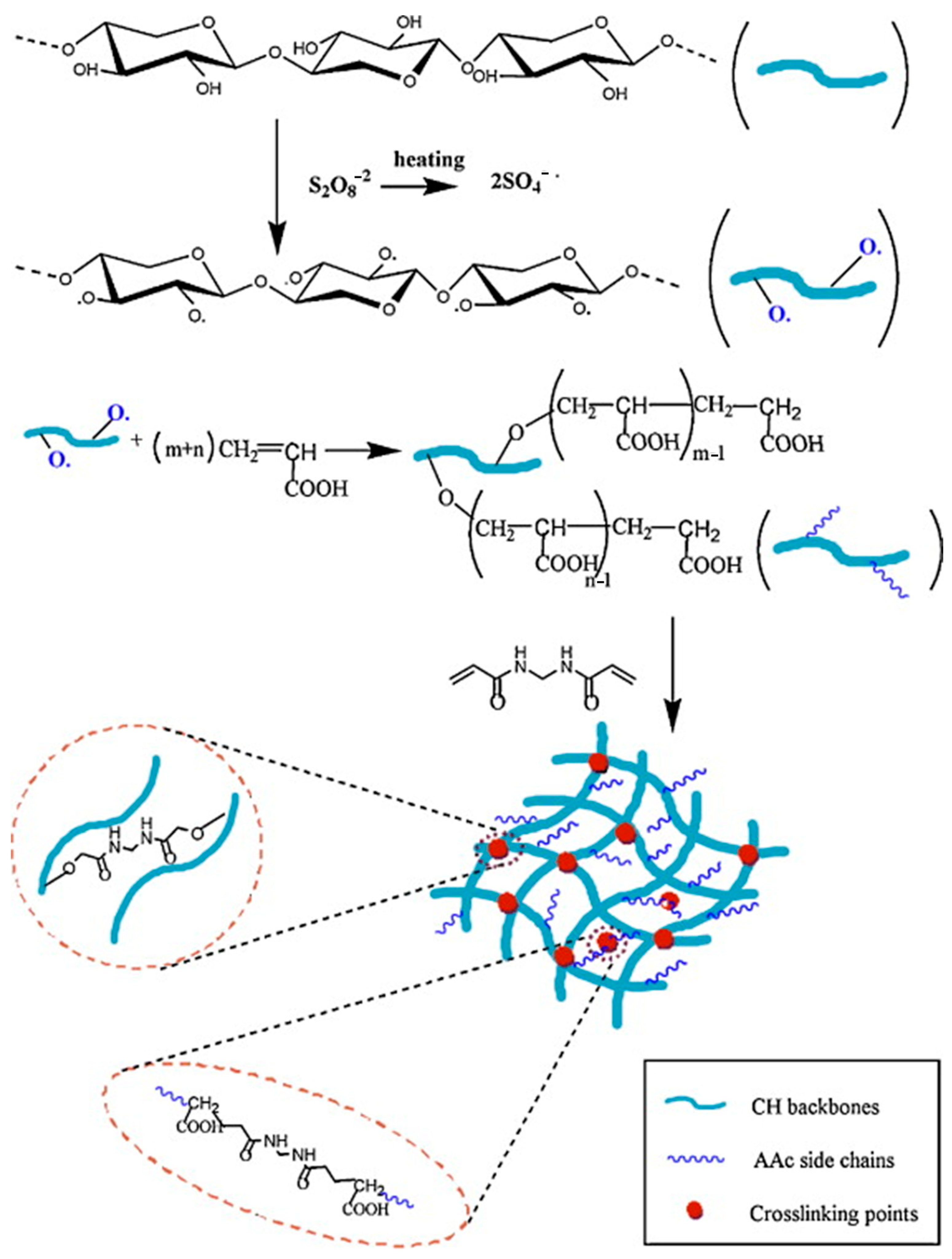 Polymers 16 01750 g007