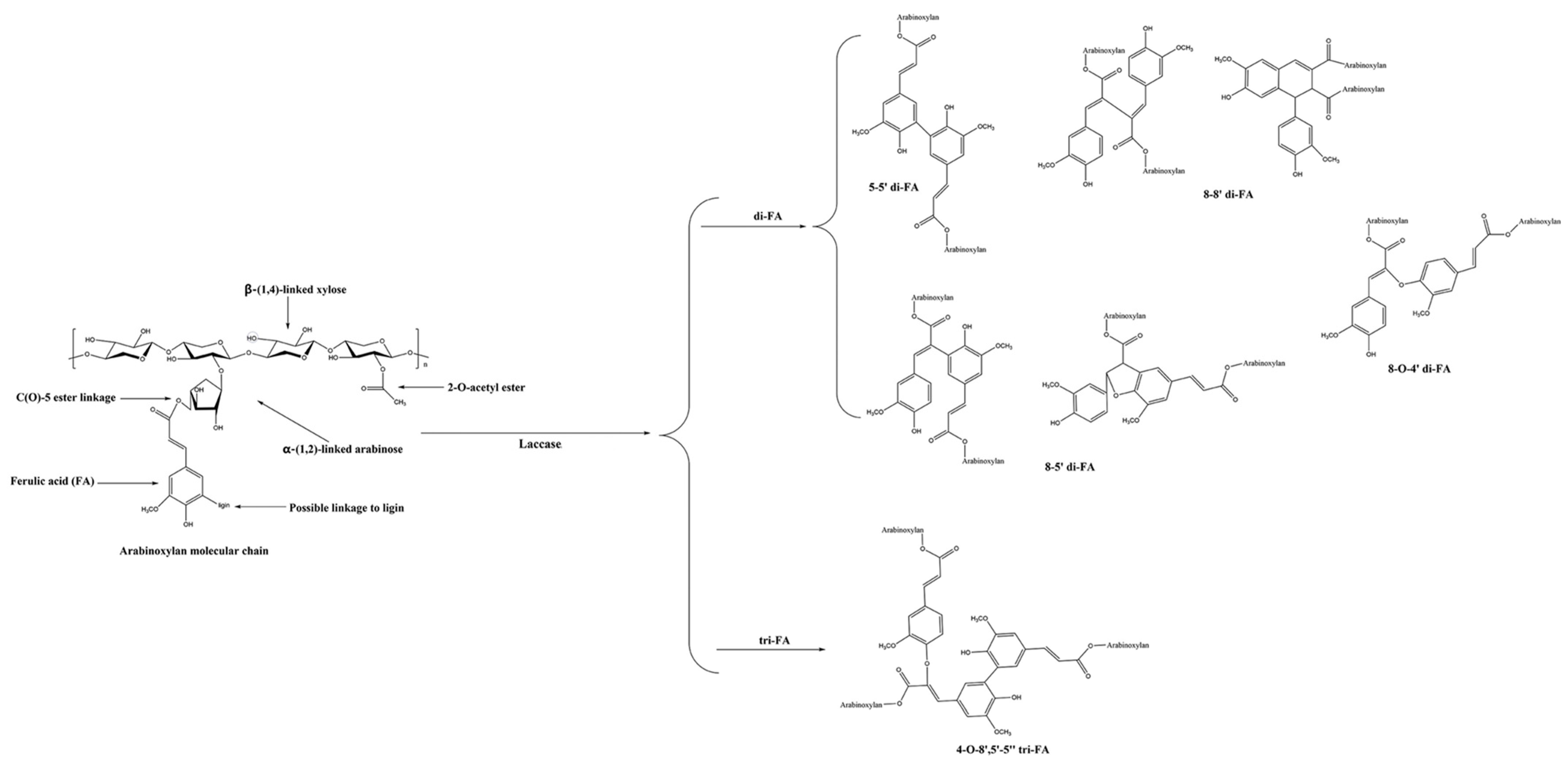 Polymers 16 01750 g008