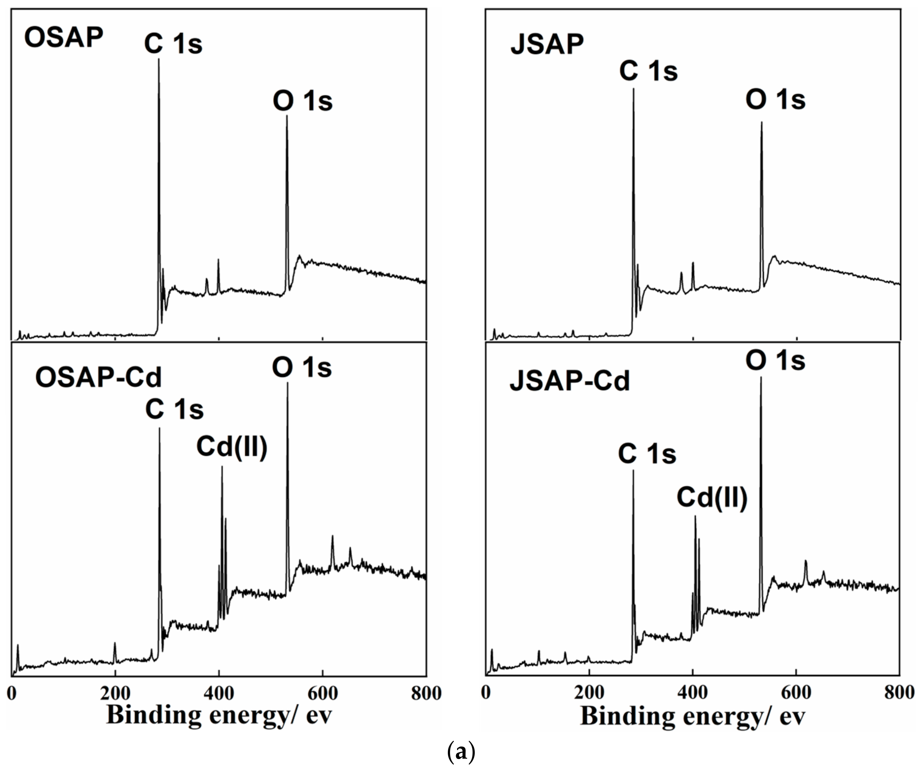 Polymers 16 01756 g009a