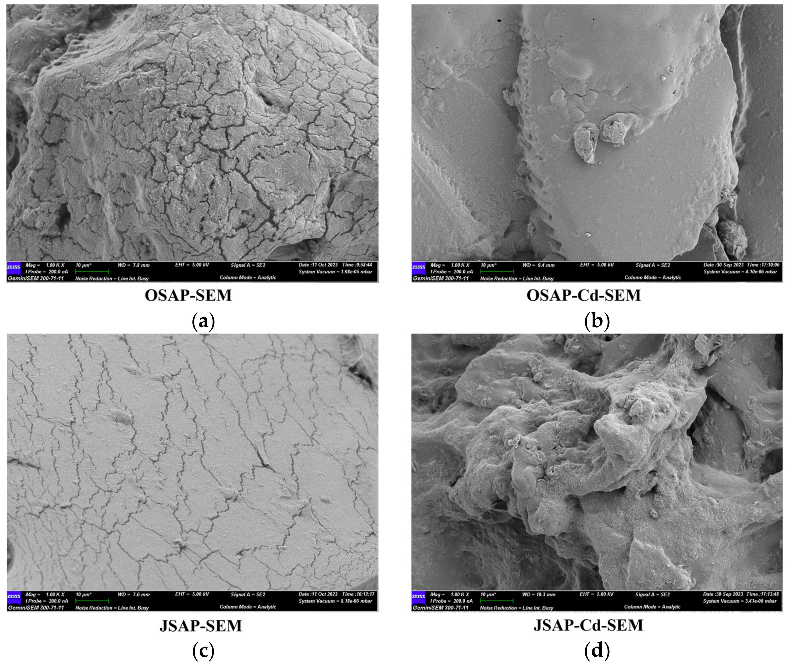 Polymers 16 01756 g010