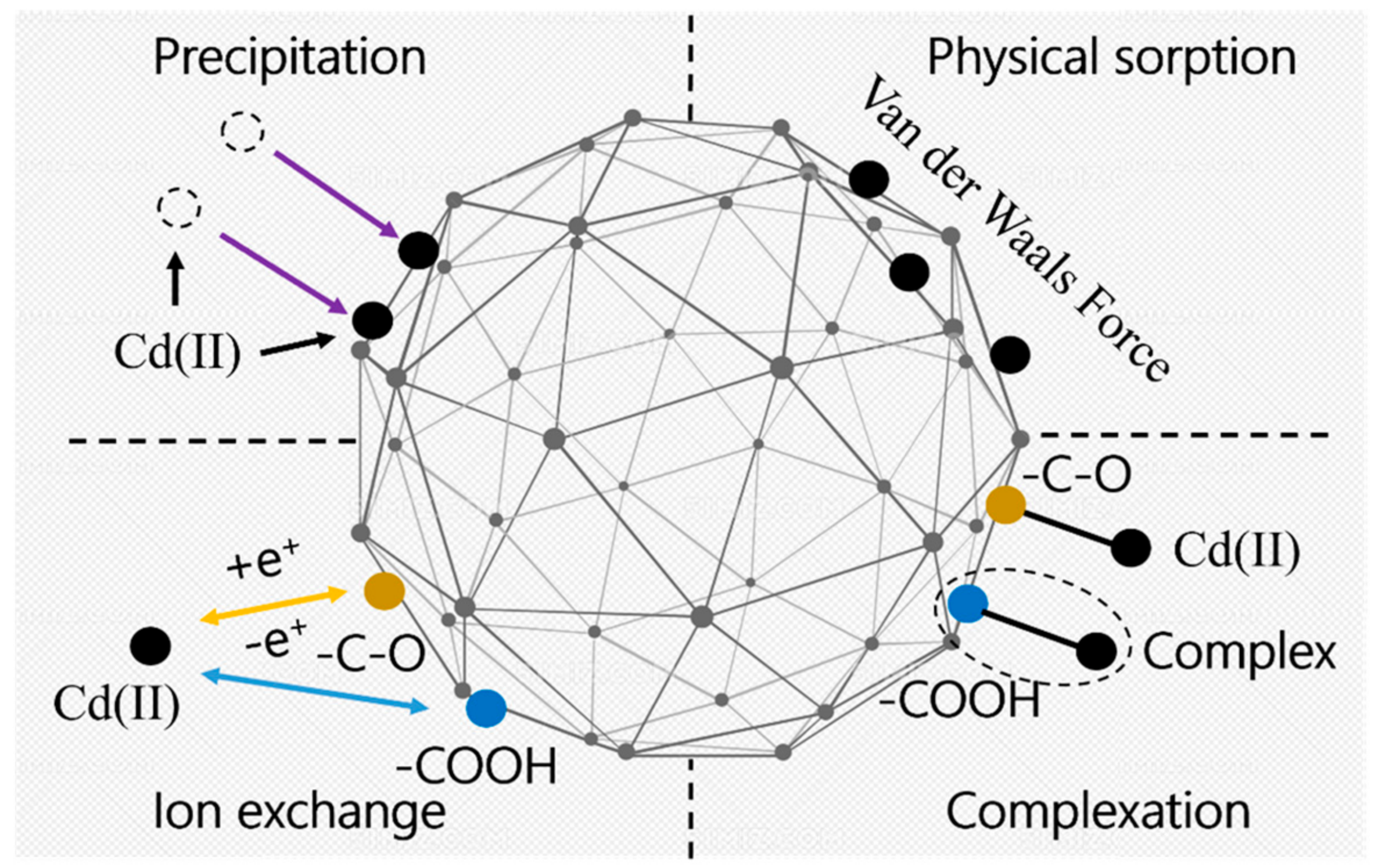 Polymers 16 01756 g013