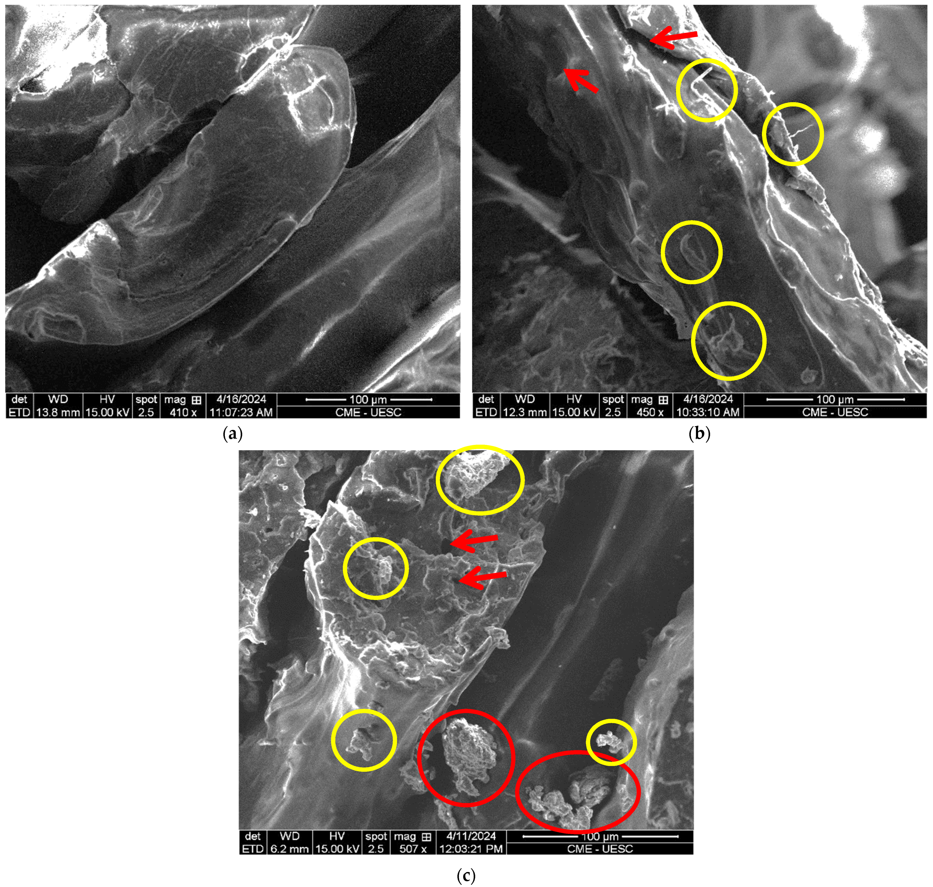 Polymers 16 01757 g005