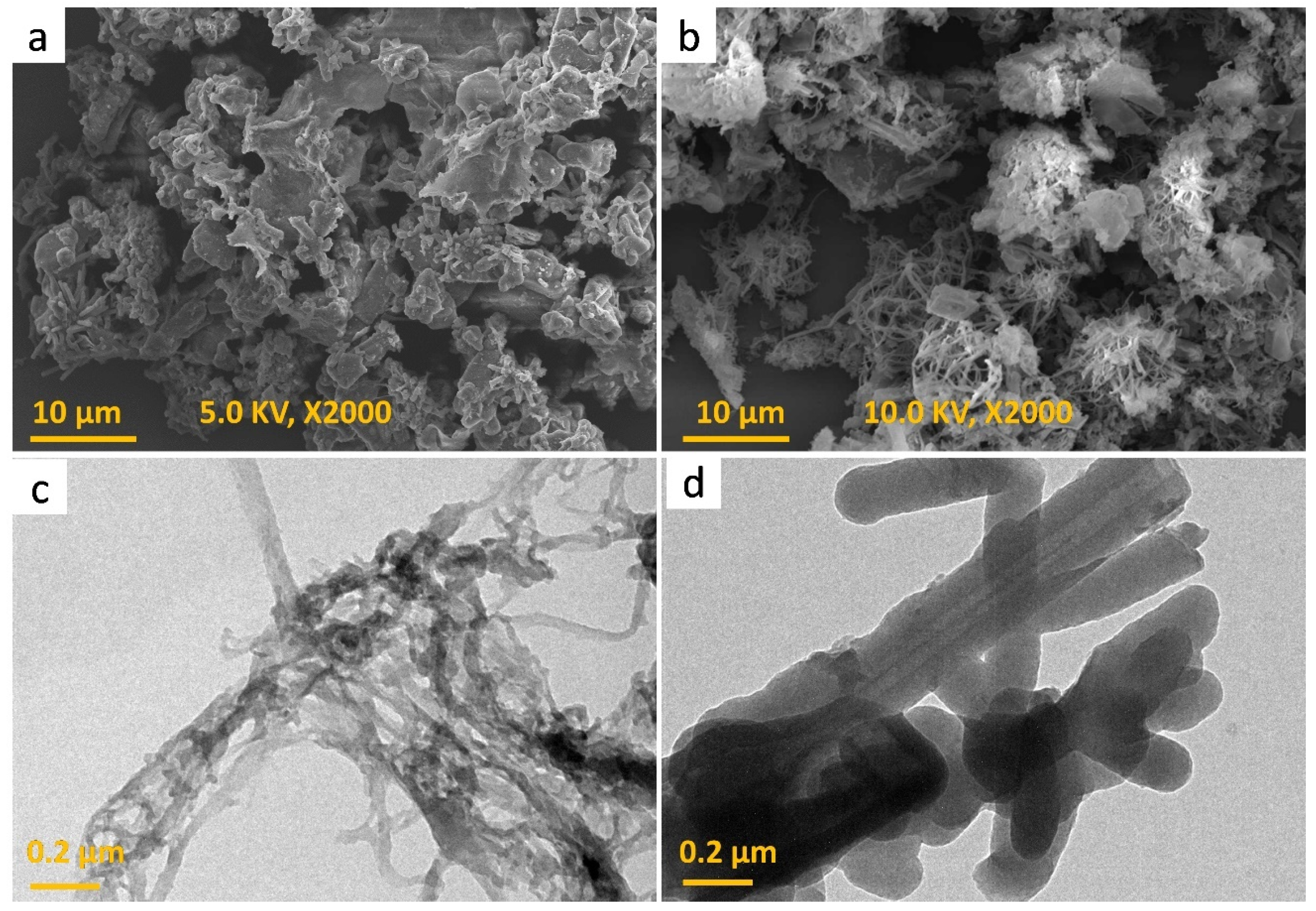 Polymers 16 01759 g003