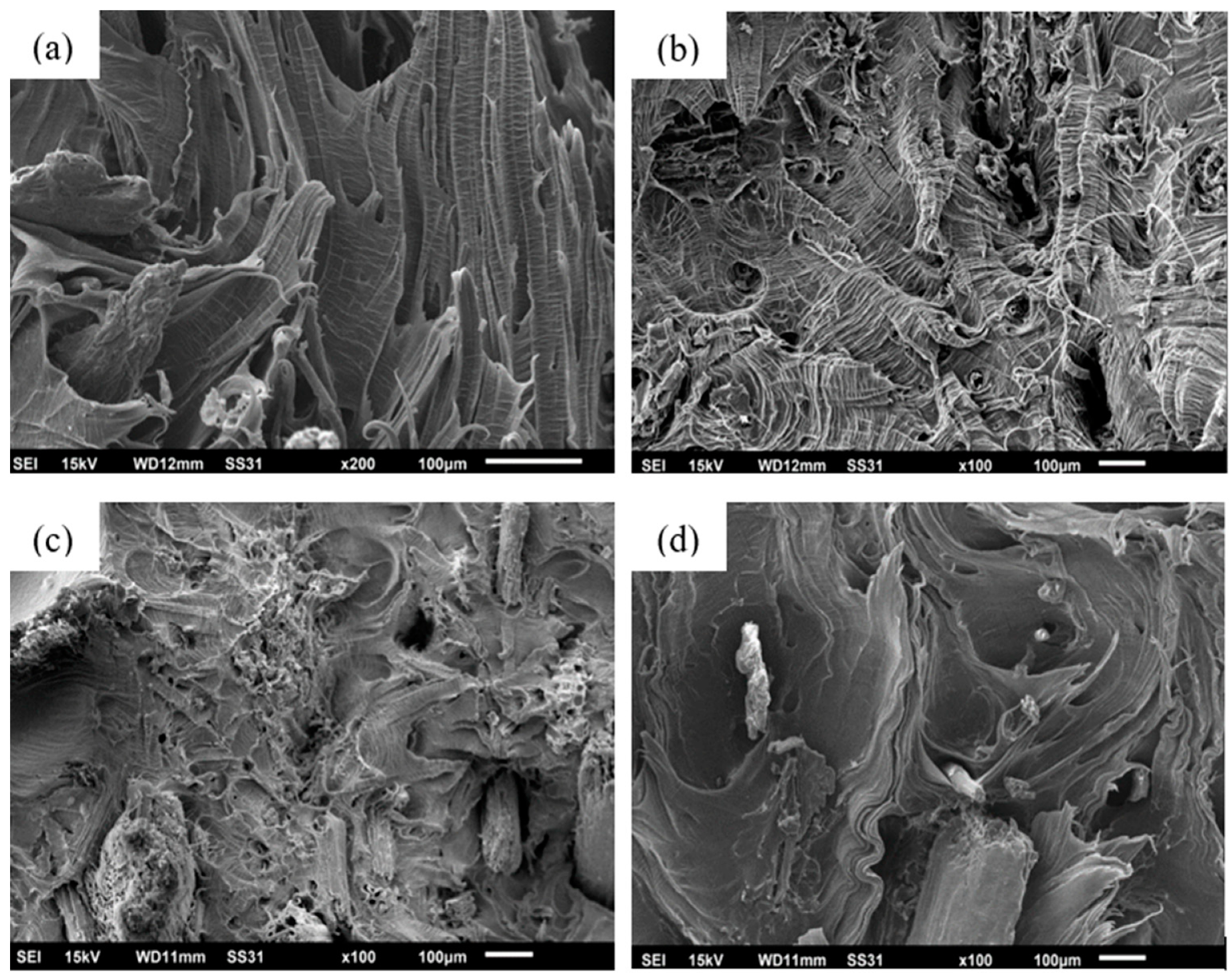Polymers 16 01760 g005