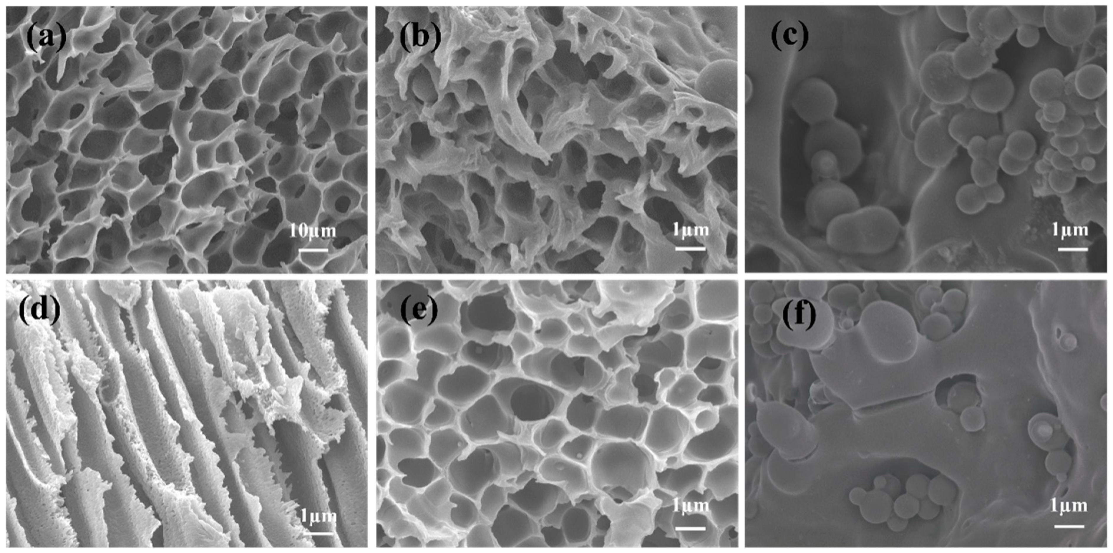 Polymers 16 01762 g003