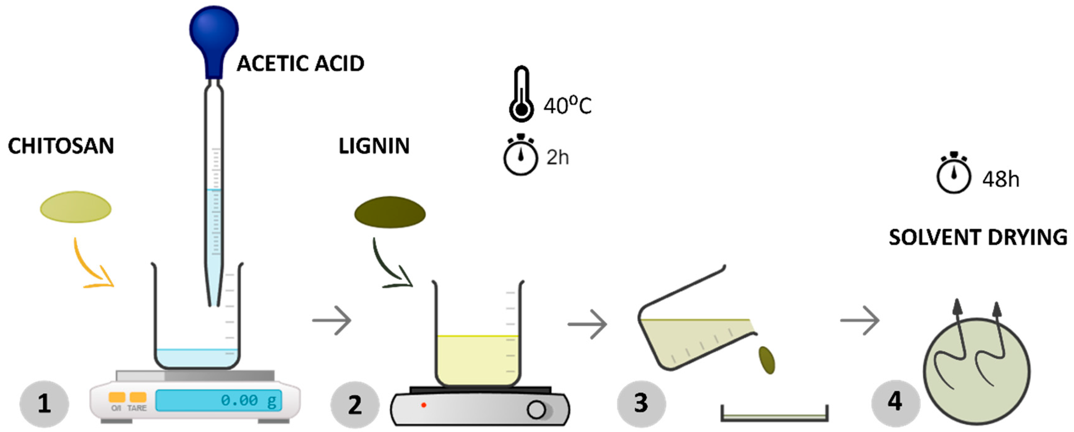 Polymers 16 01766 g001