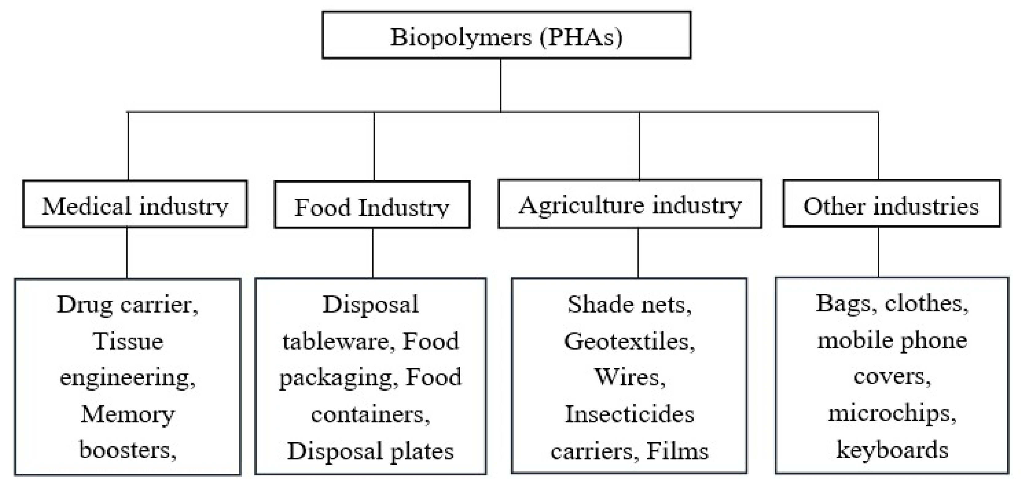 Polymers 16 01768 g002