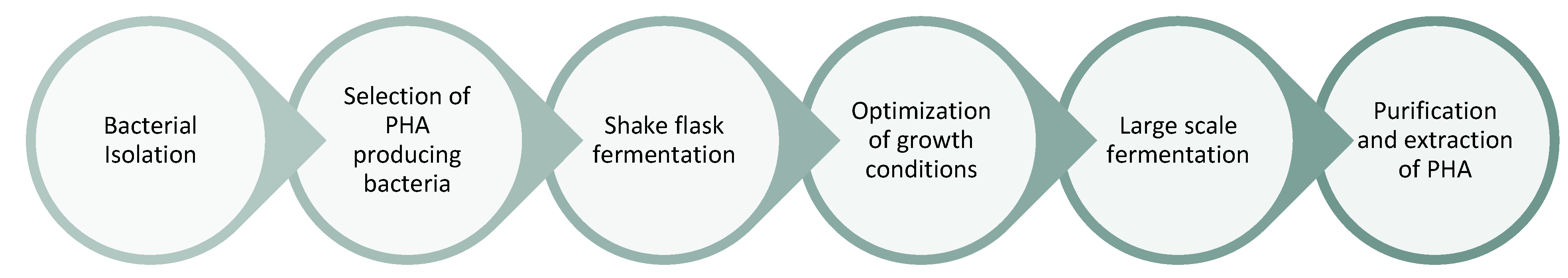 Polymers 16 01769 g006
